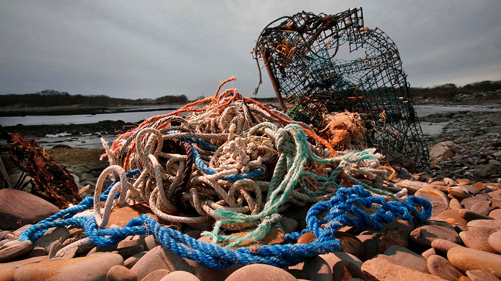 Stepping Up Efforts To Remove Ghost Fishing Equipment