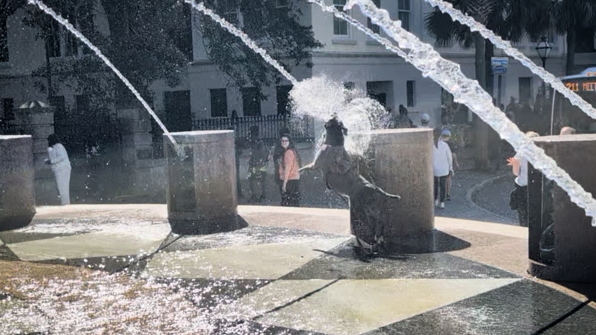 Adorable Pup Turns Splash Pad Into An Olympic Event