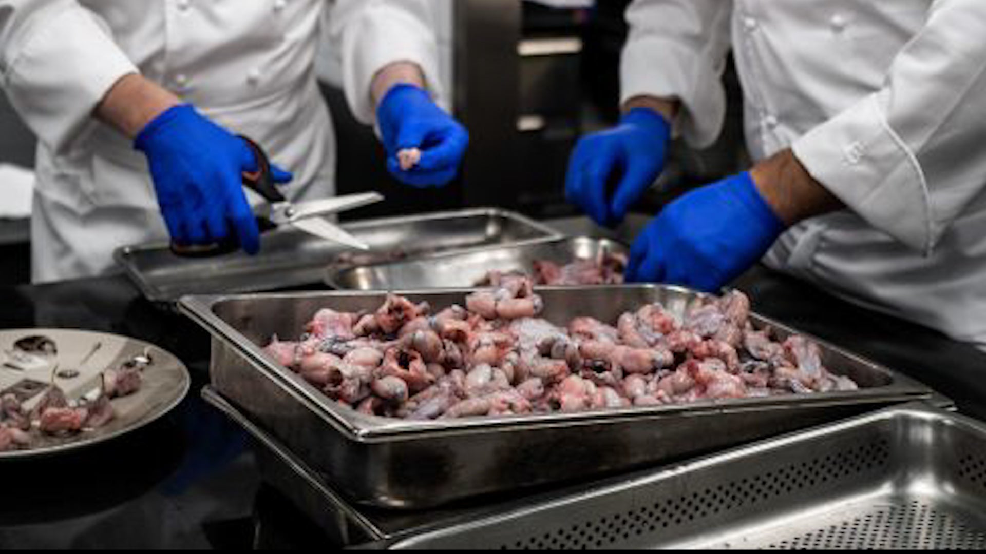 Could Eating Frog Legs Be Endangering Some Frog Species?