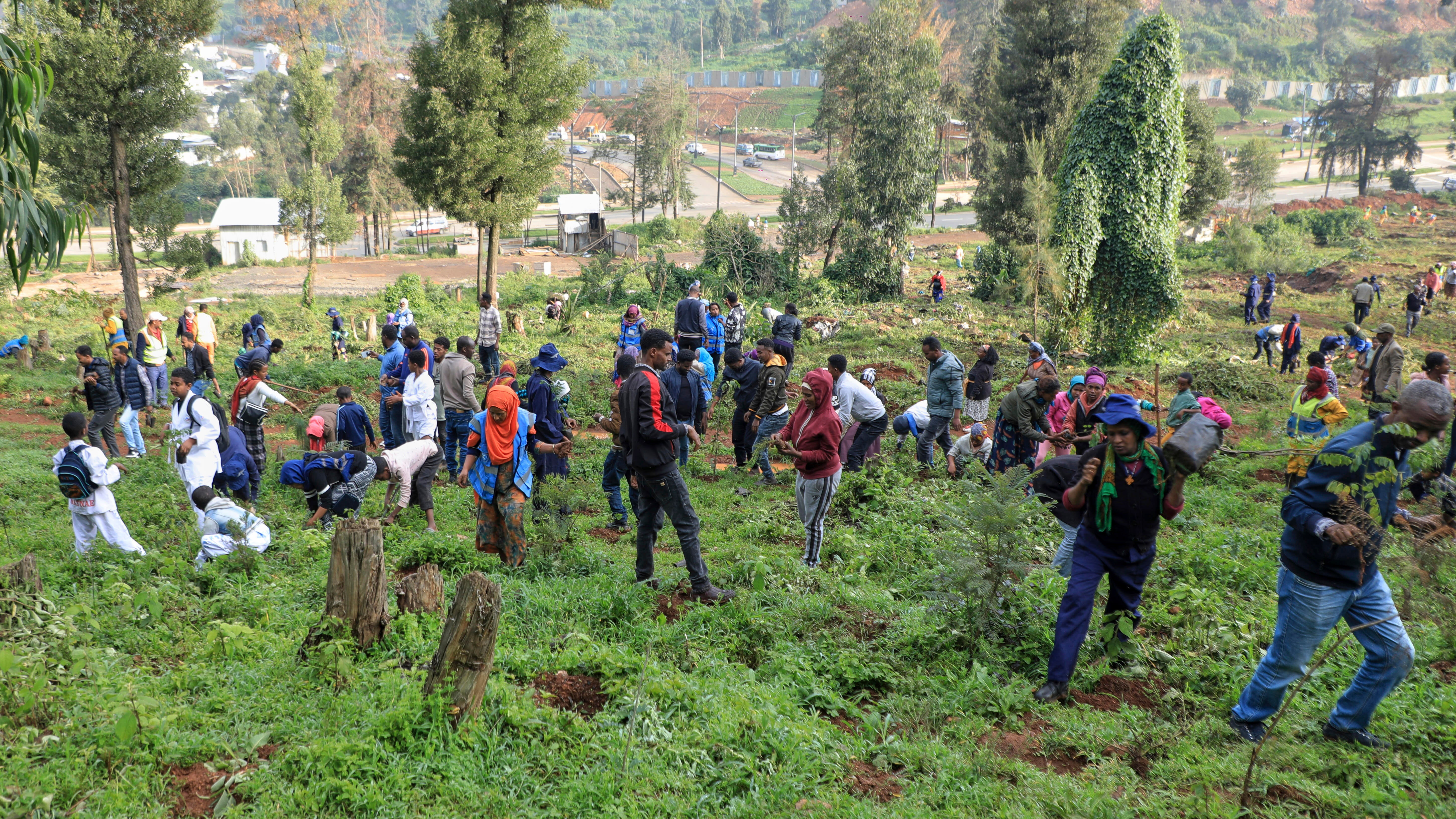 Ethiopia Launches 700-Million Tree Challenge For Greener Future