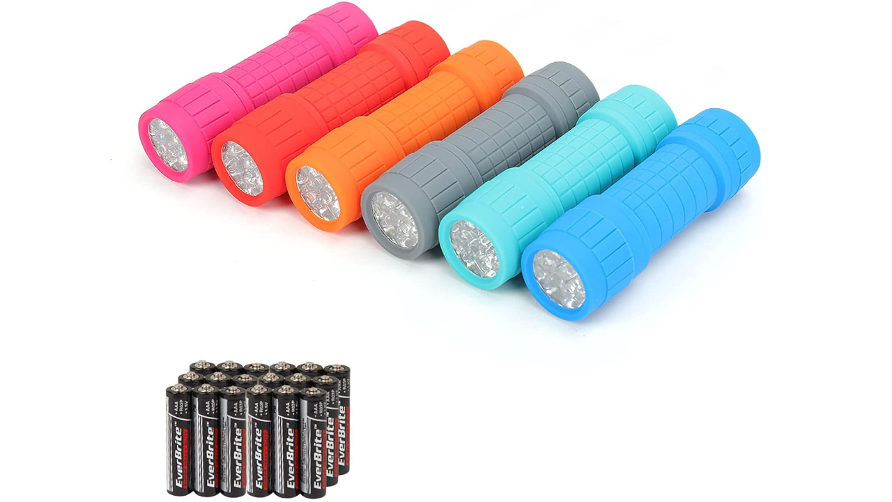 EverBrite LED Flashlight And Battery Set 