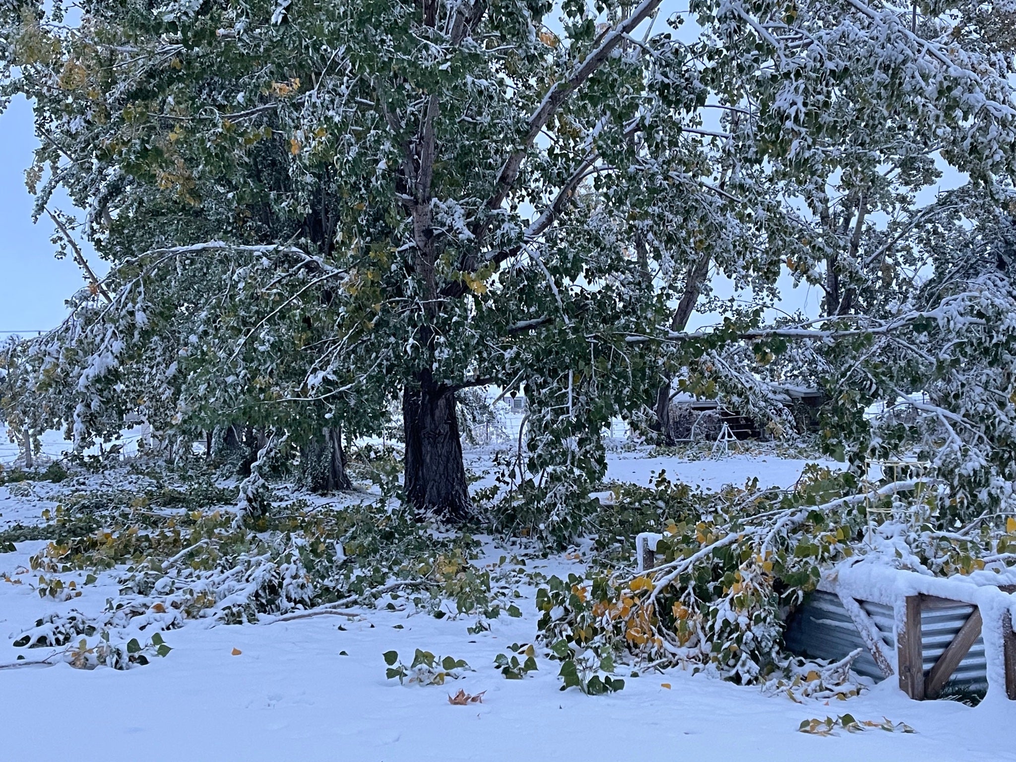 First Major Winter Storm of the Season Pounds the Rockies (PHOTOS)