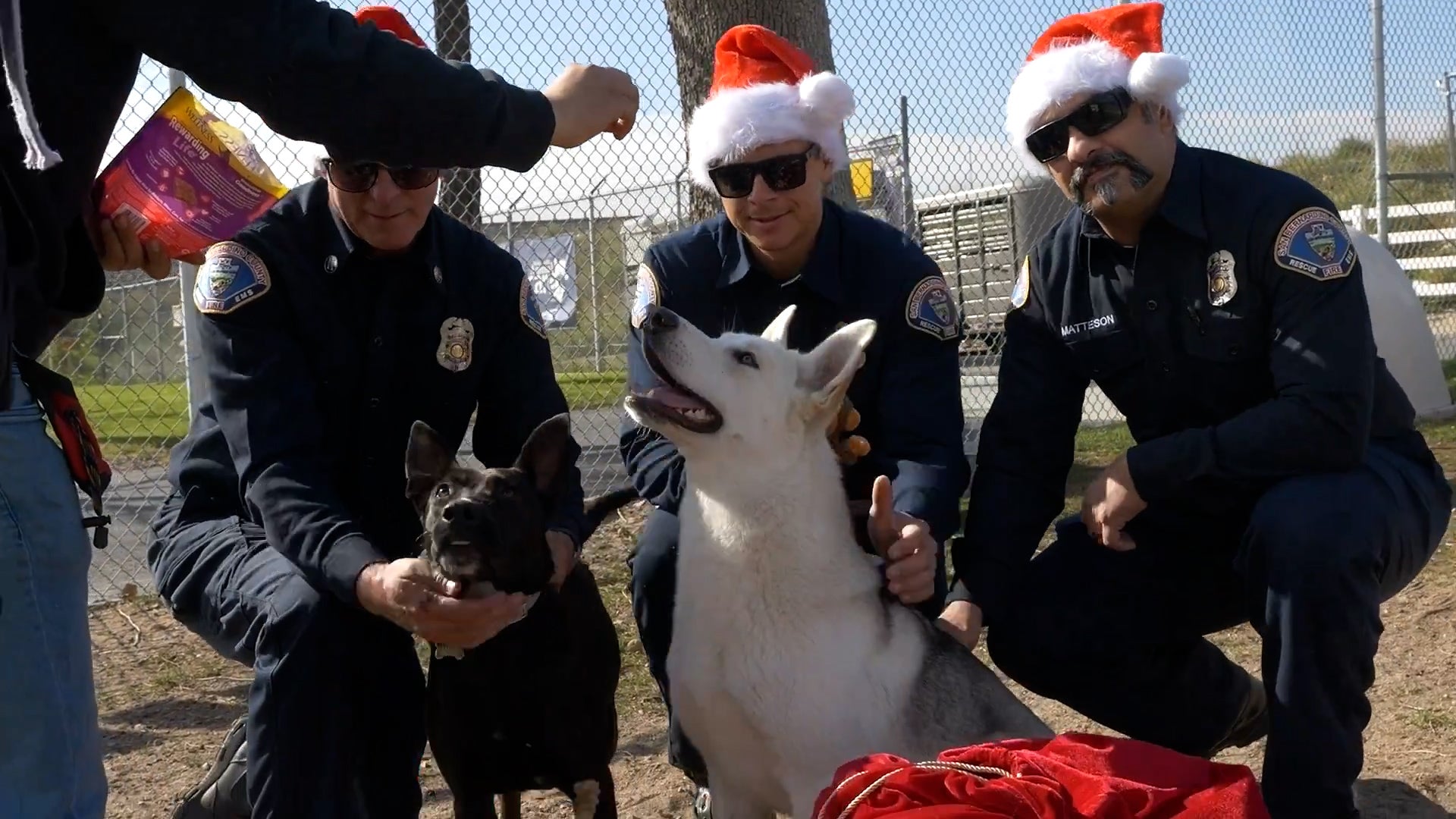 Rescue Dogs Get Christmas Gifts From California Firefighters