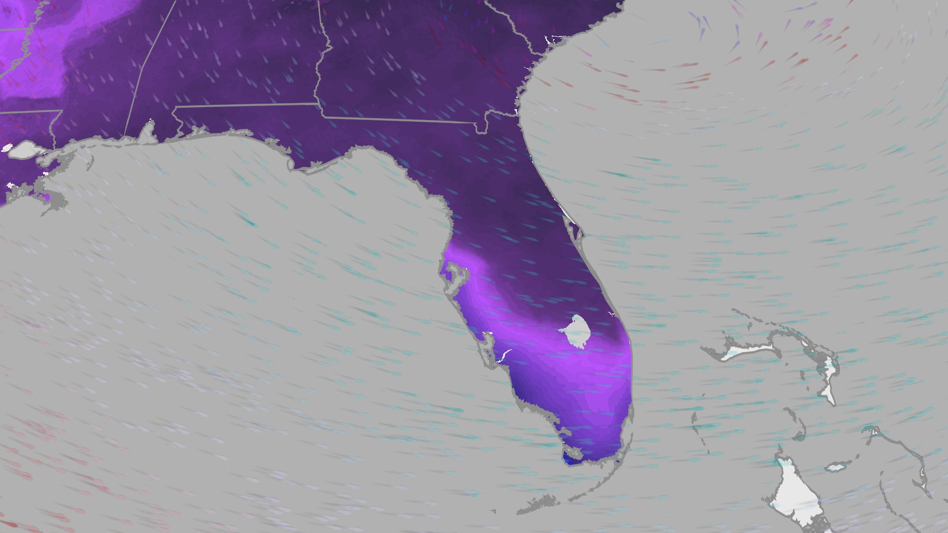 Coldest Air In 15 Years Arrives In Florida This Weekend