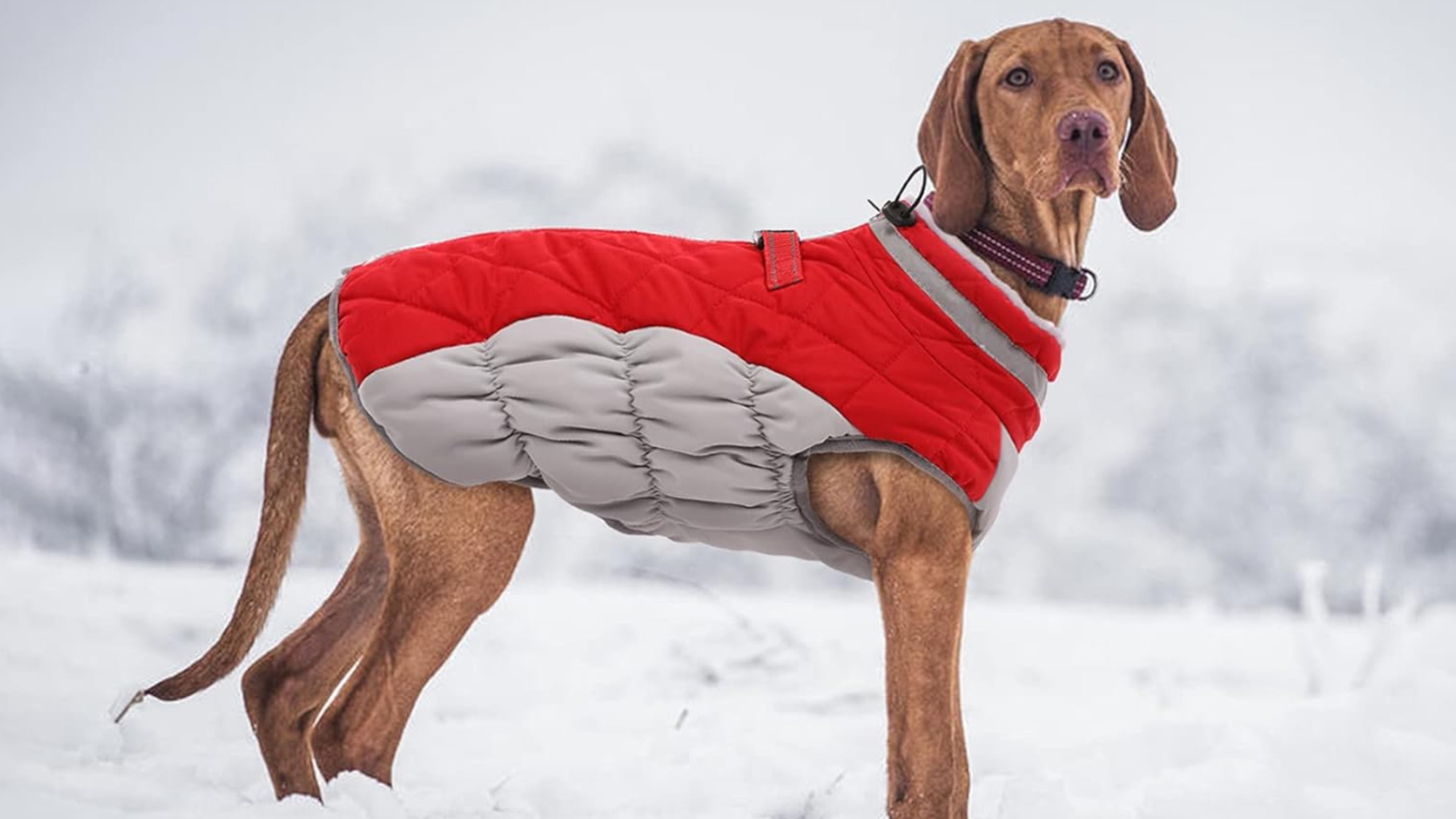 FUAMEY Waterproof Winter Jacket with Built-in Harness