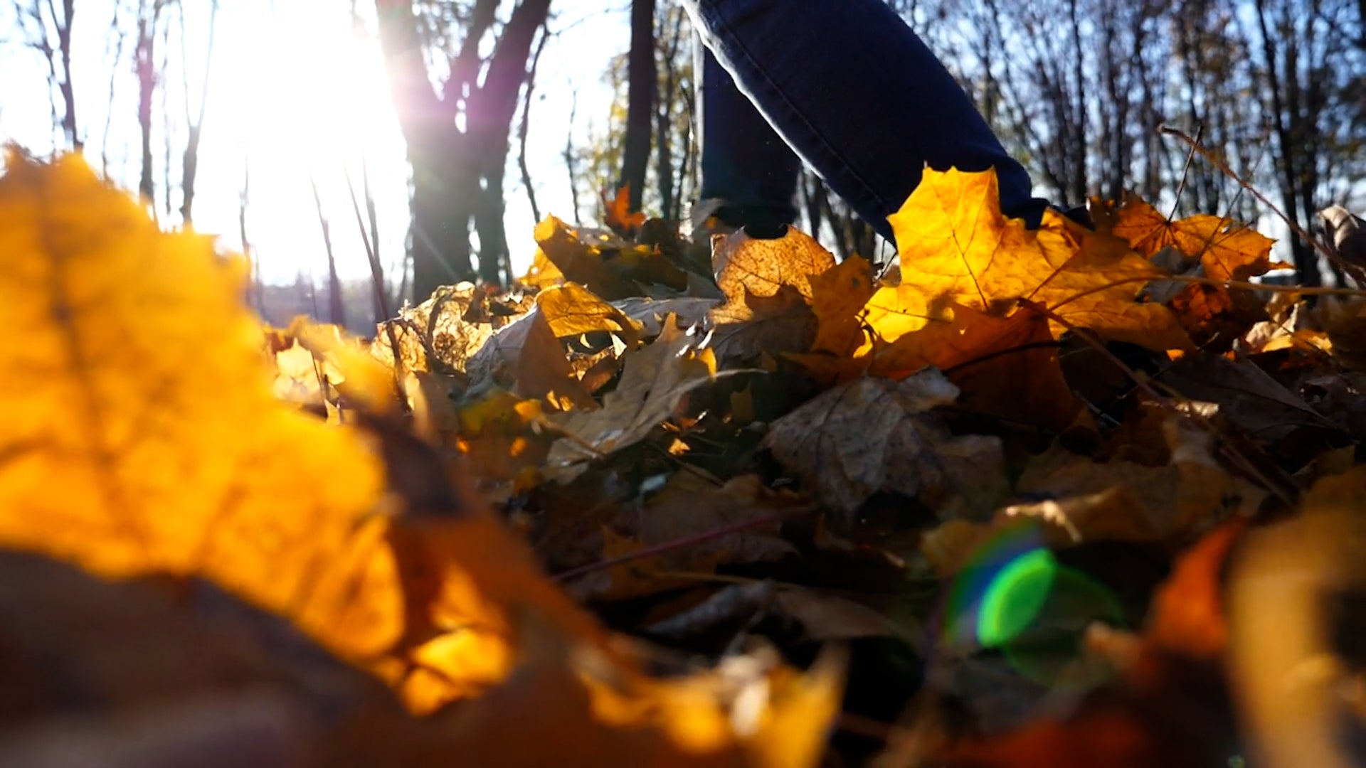 Watch Out For These Fall Skin Allergies