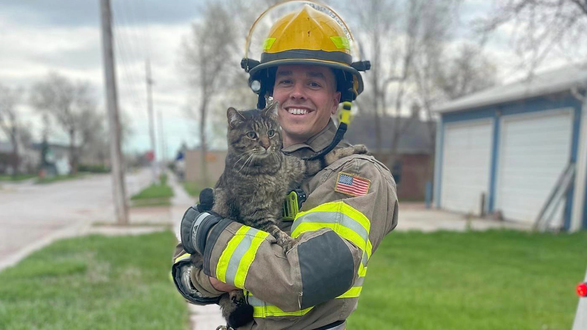 Firefighter Rescues Cat Stuck In Tree