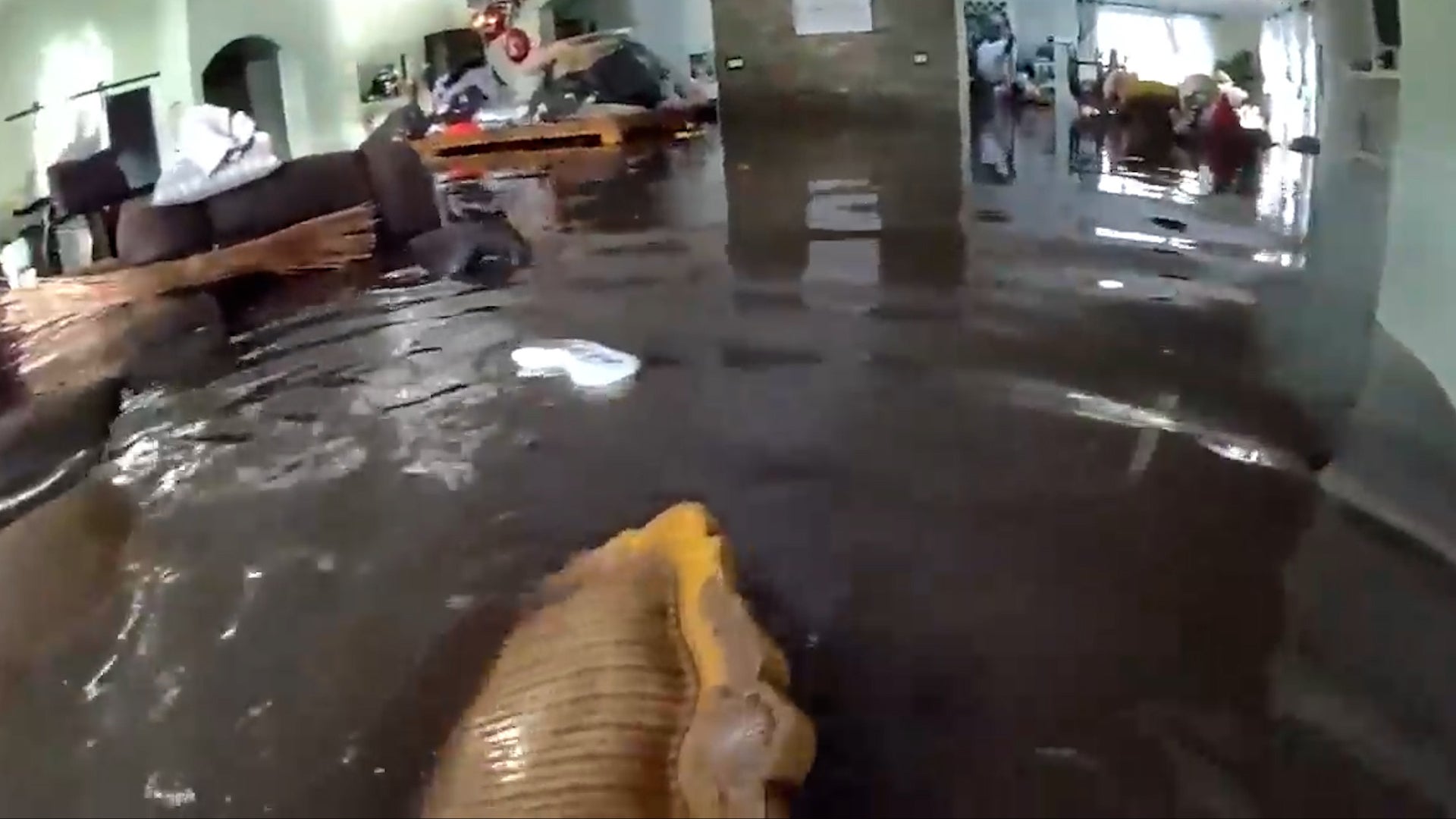 Rising Waters, Heroic Rescue: Family Saved from Hurricane