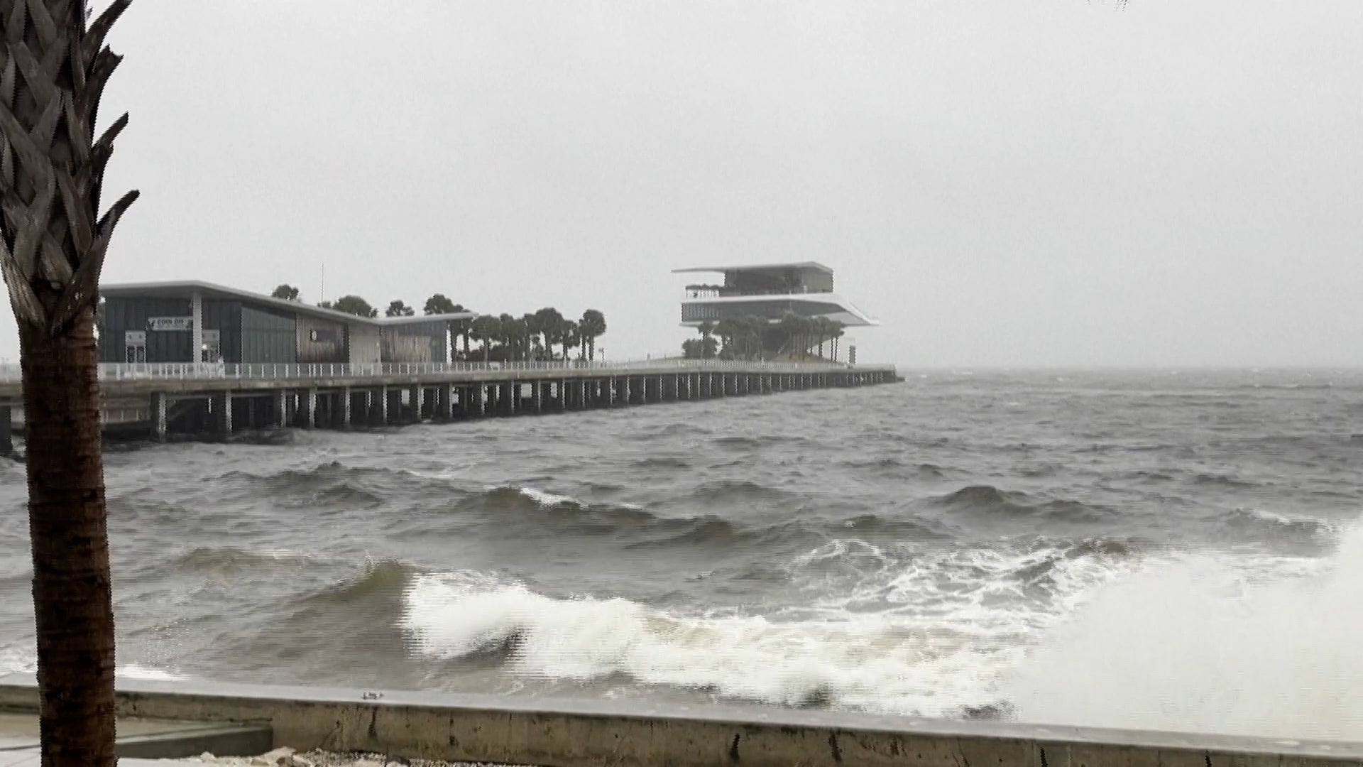Red Tide Looms Off Florida West Coast