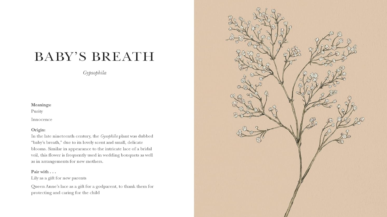 Floriography: An Illustrated Guide to the Victorian Language of Flowers