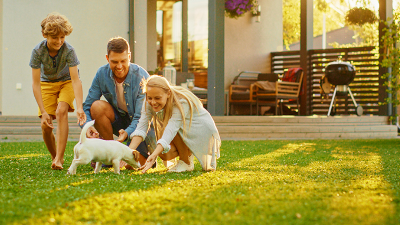 Flonase Allergy Relief Nasal Spray (2 Pack)