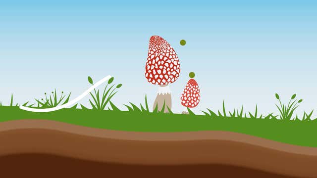 Brutal Allergies? Your Body ‘Remembers’ Last Pollen Season | Weather.com