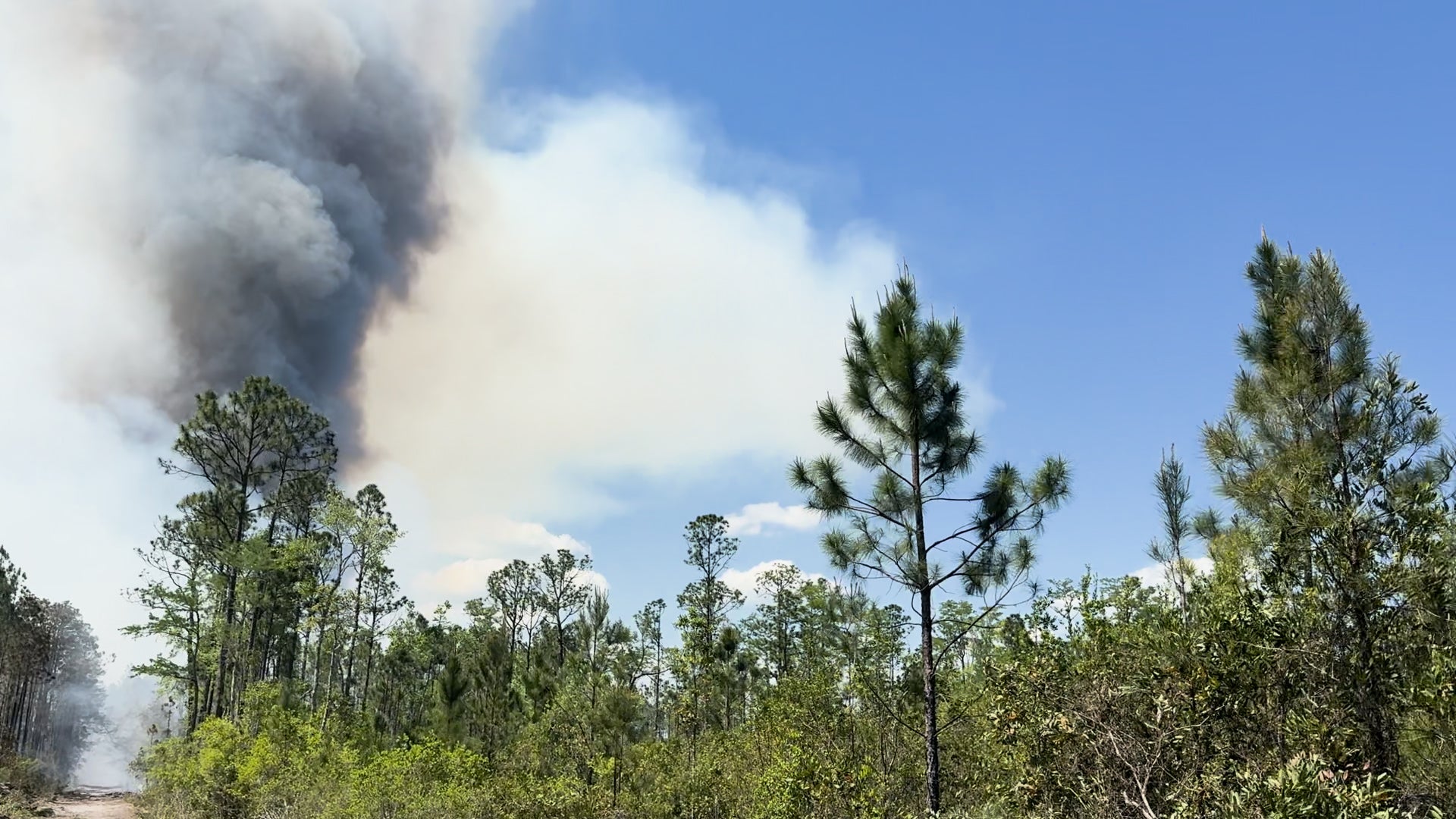 See Georgia&rsquo;s Aerial Battle Against Drought-Fueled Wildfires