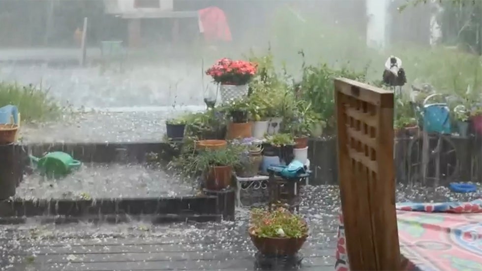 Gardening This Week? Watch Out For Heavy Rain, Late Freezes And Flooded Soil