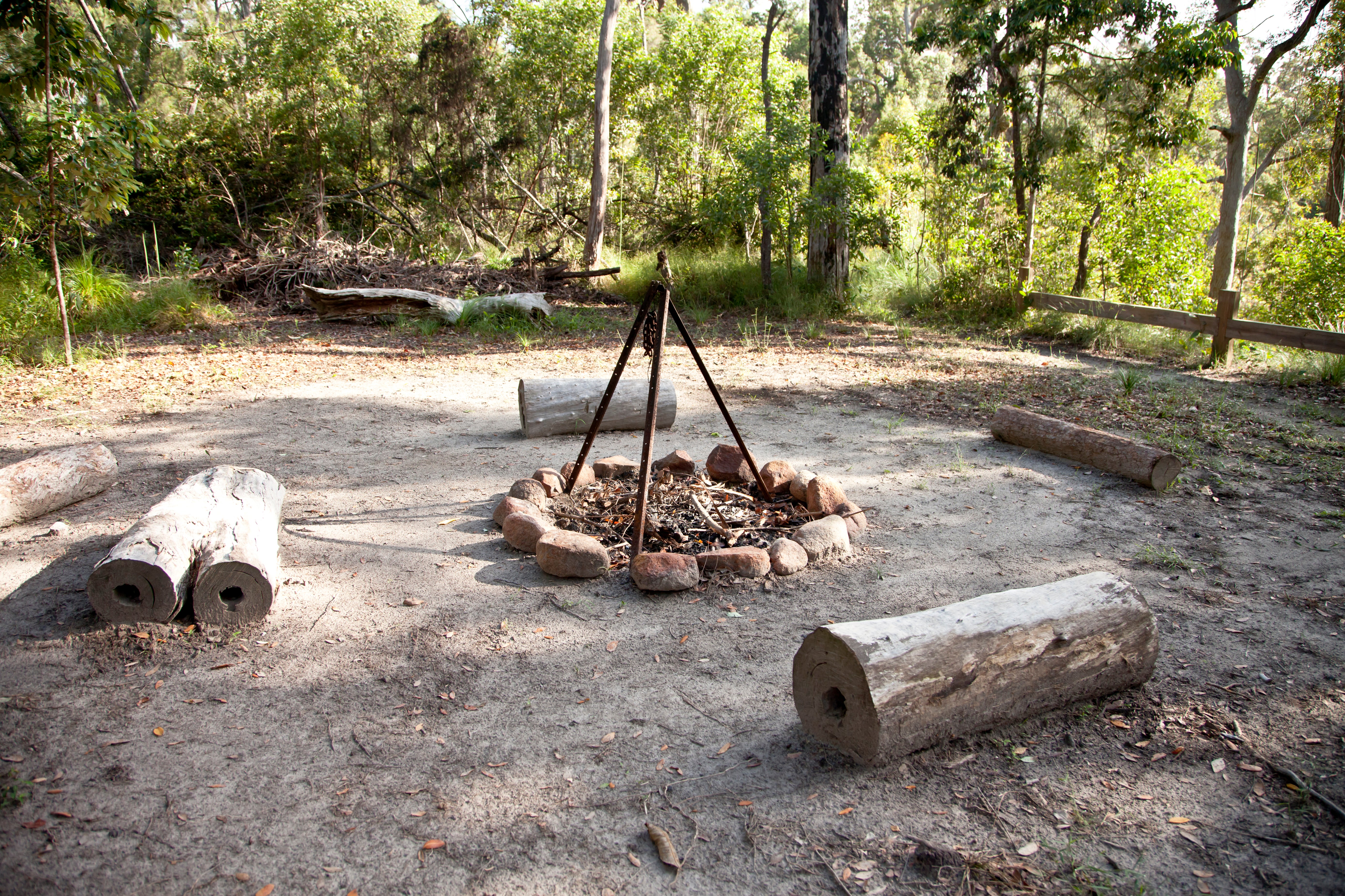 You Can Play A Role In Preventing Wildfires, Here&rsquo;s How