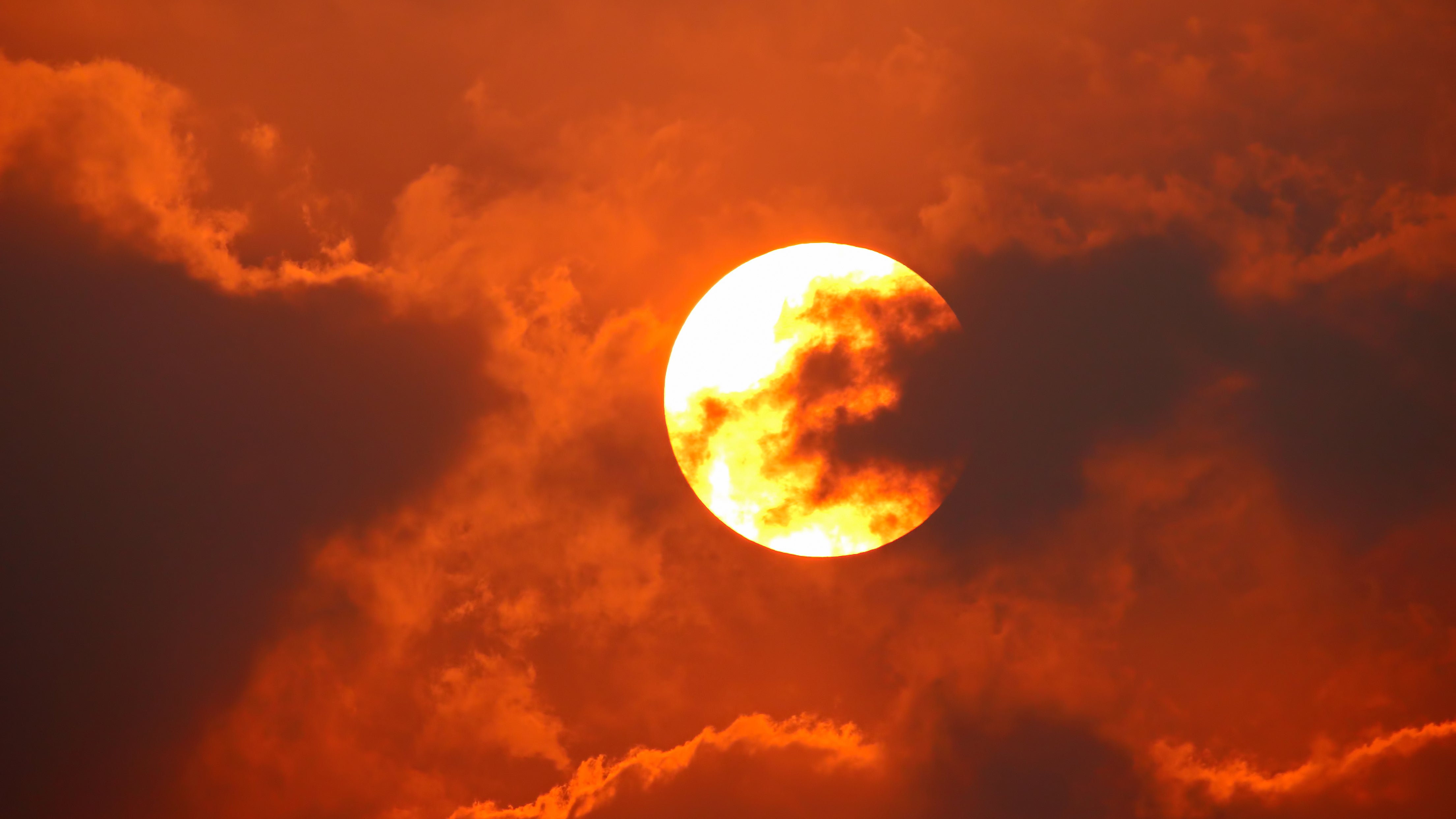 Earth Day 2023: 9 Trends That Show The Harsh Reality Of Climate Change