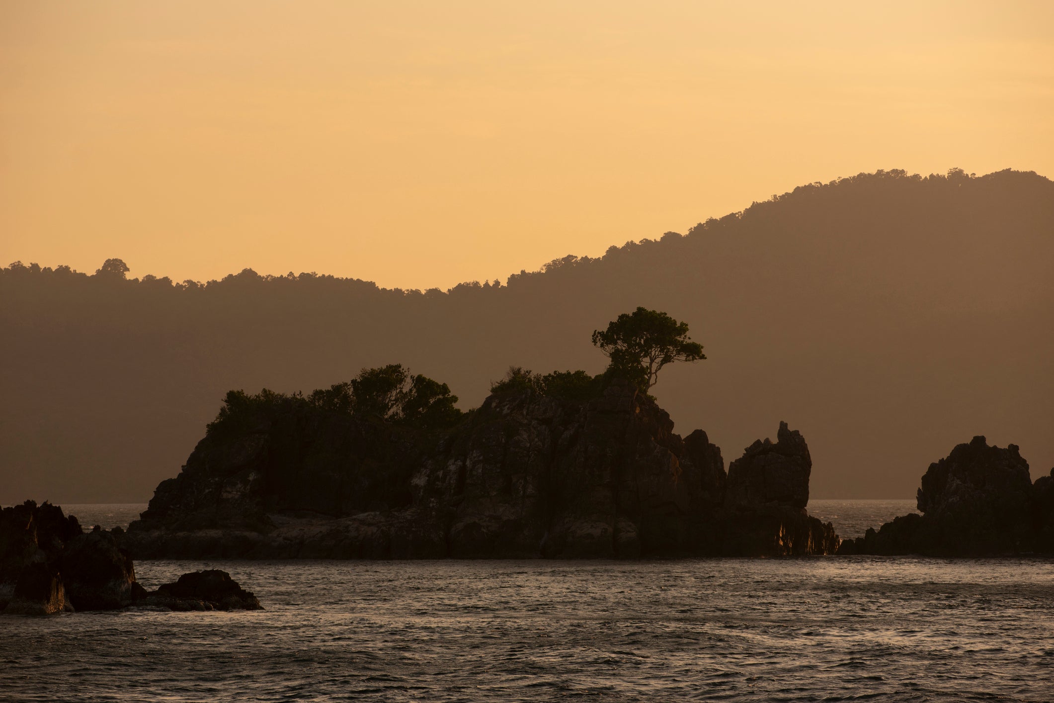 Coronavirus Strands Five Coral Researchers on Remote Island in Myanmar for Two Months