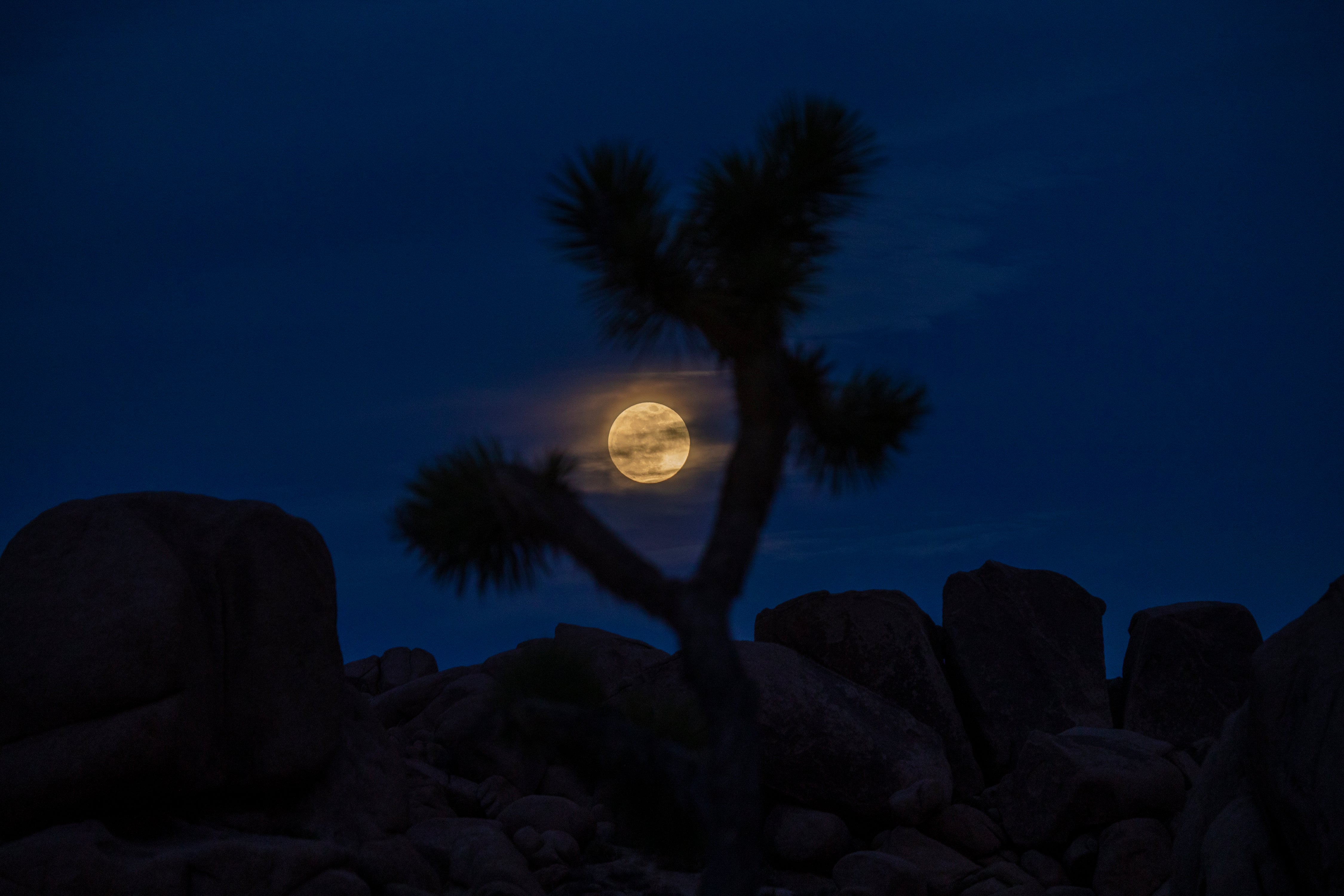 Photos of 2021's Only Total Lunar Eclipse