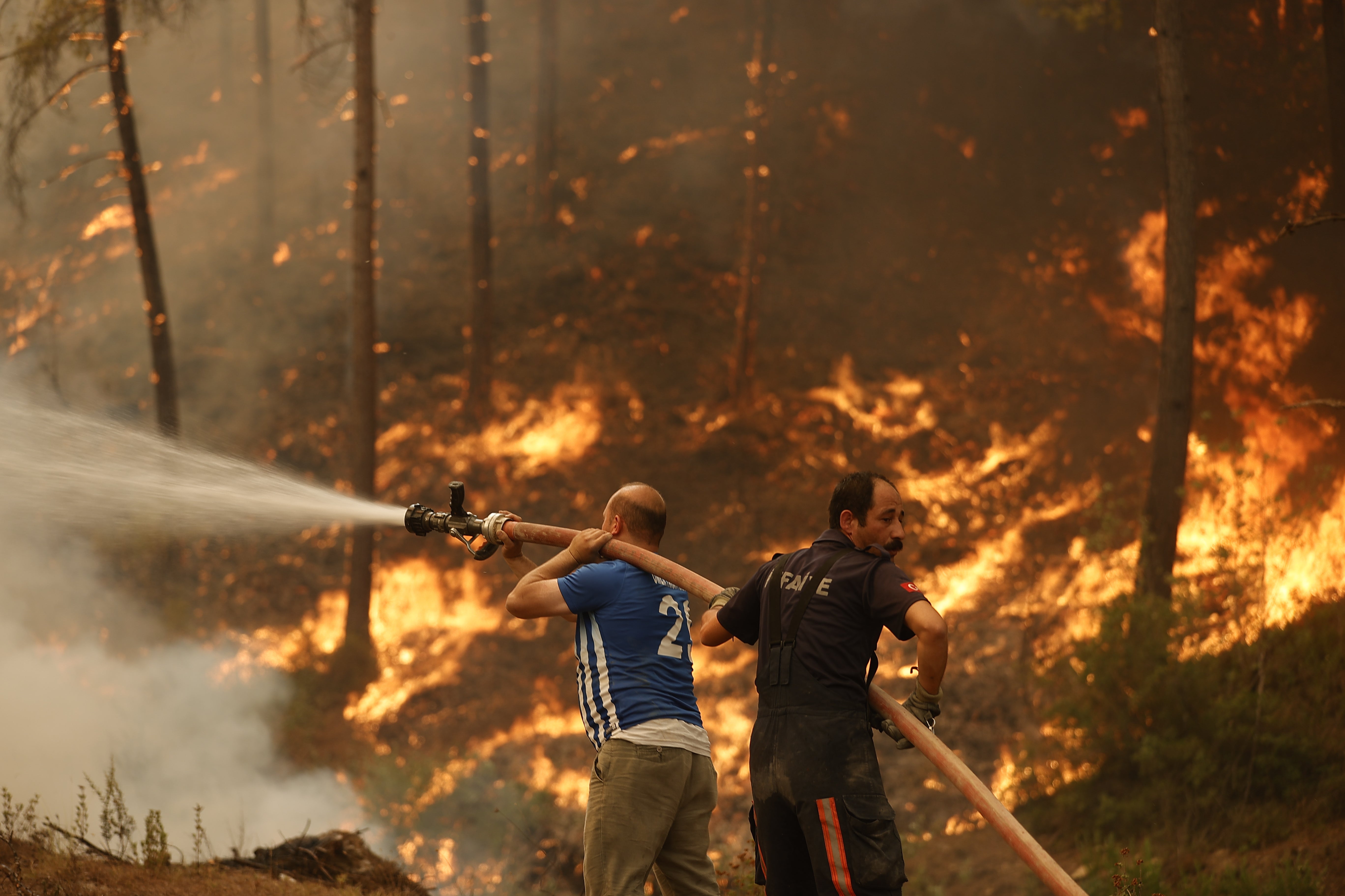 Wildfires Continue to Rage in the Mediterranean and Southeastern Europe (PHOTOS)