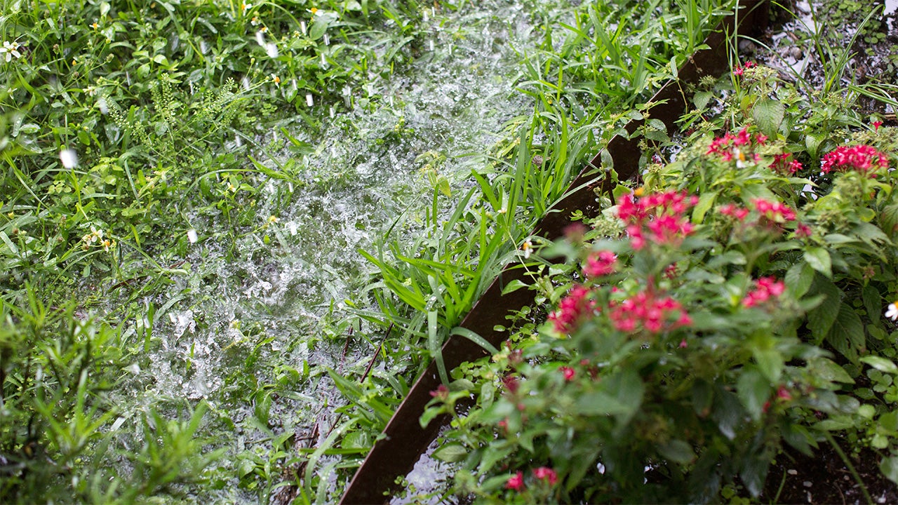 Weekly Planting Guide: What To Do If Your Garden Gets Washed Out