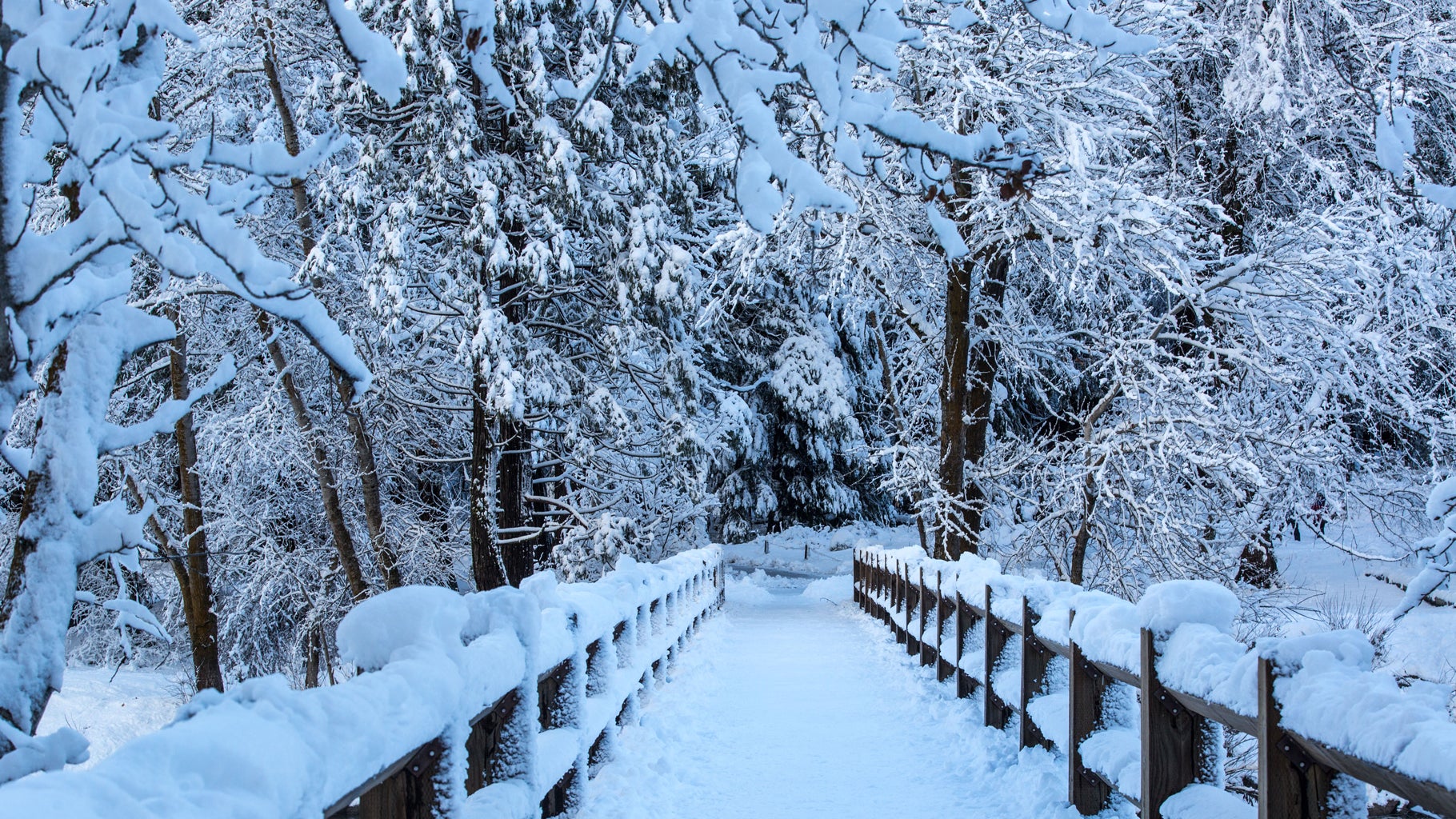 Yosemite Snowfall Turns the National Park into a Winter Wonderland (PHOTOS)