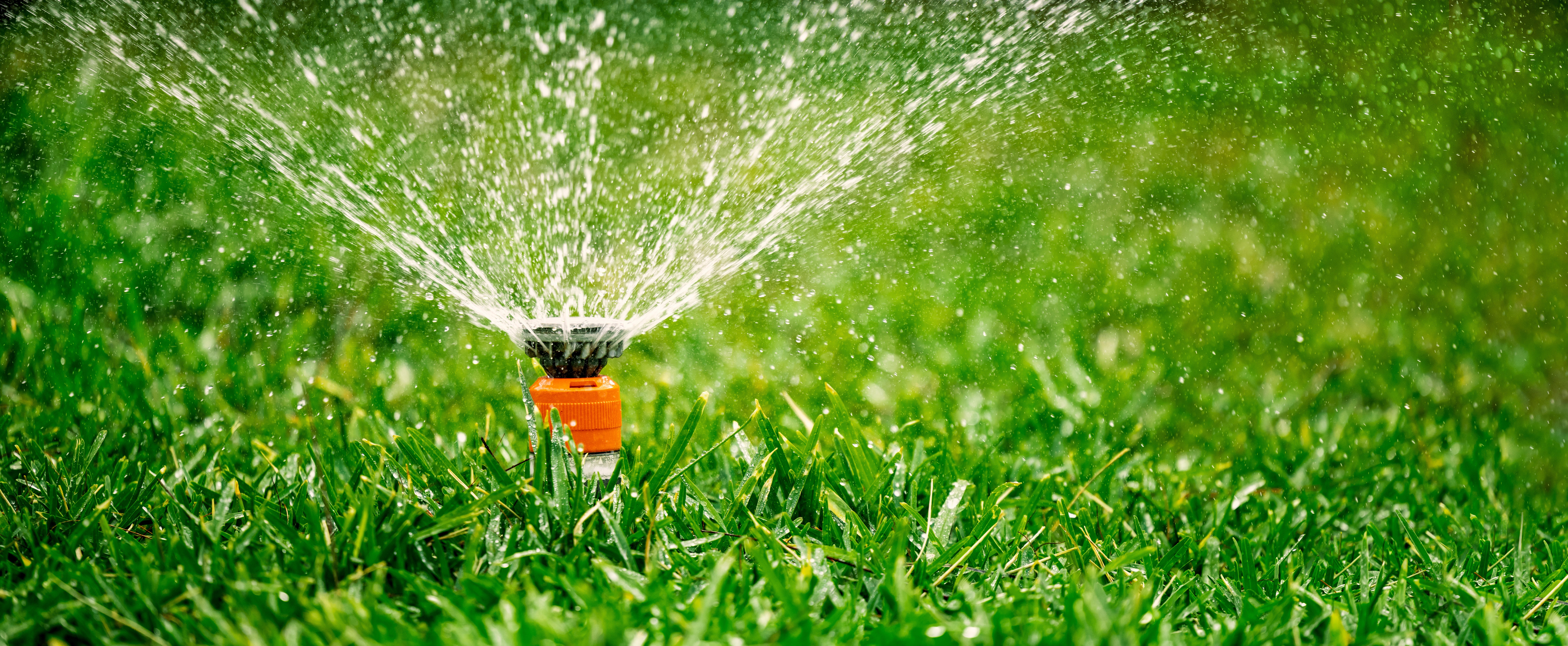 You Won&rsquo;t Believe How Many Billions Of Gallons Of Water Are Lost To Faulty Sprinklers