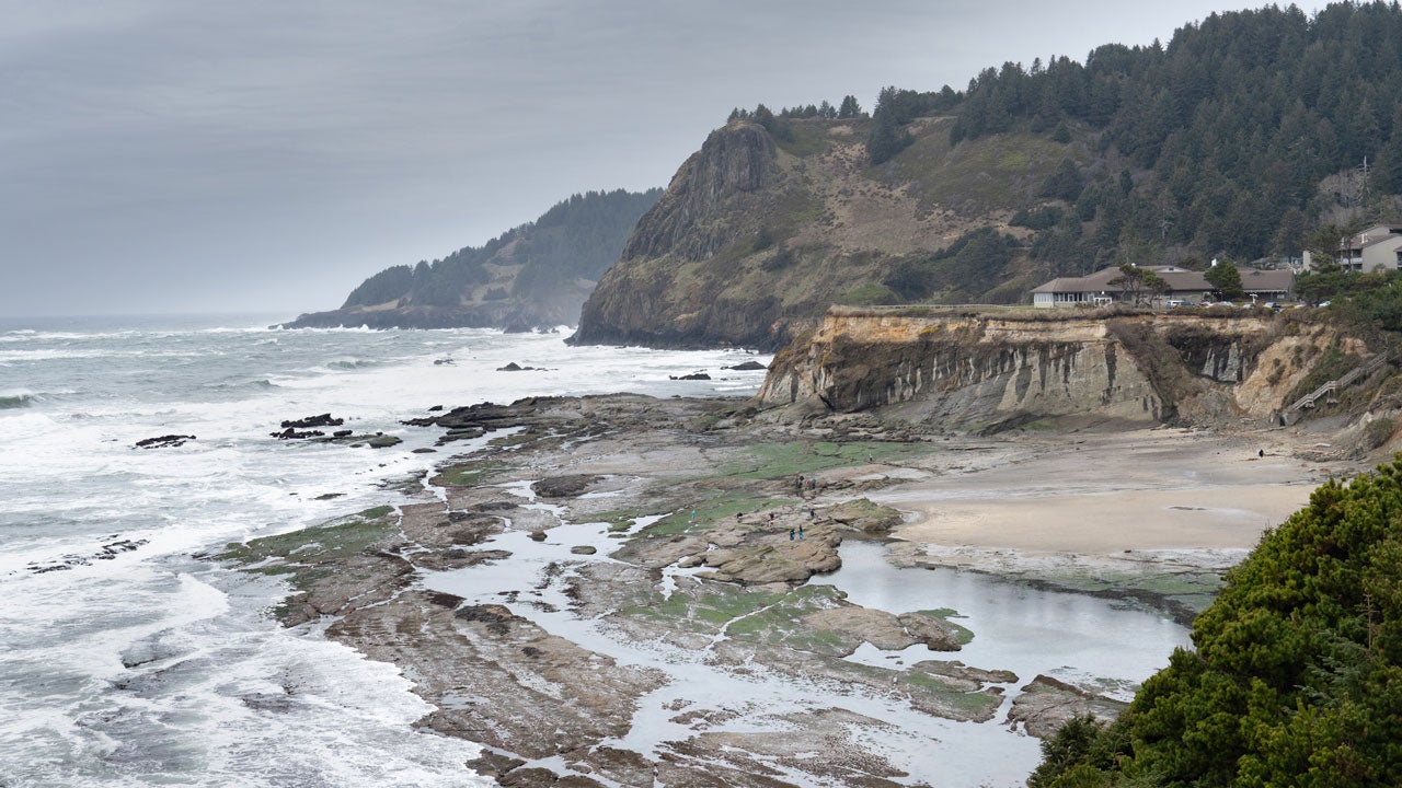 Oregon Coast Closed To Mussel Harvesting Due To Shellfish Poisoning