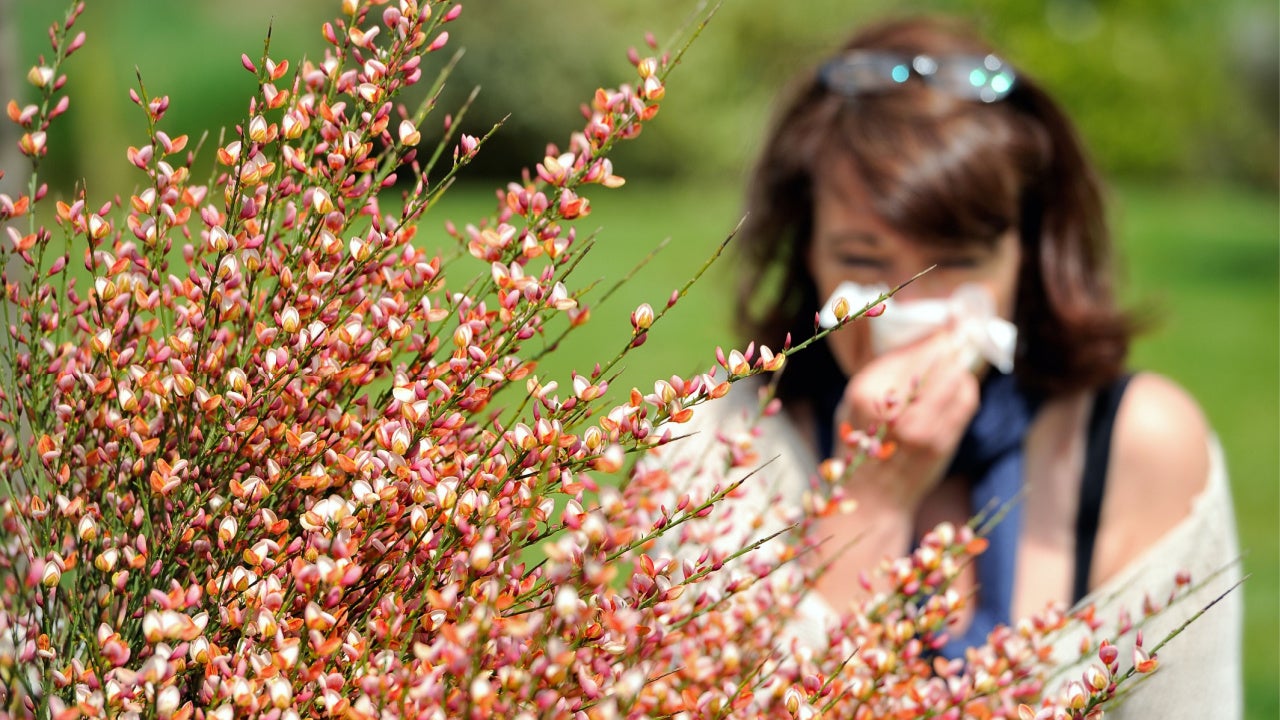 Sudden Temperature Changes Can Trigger Your Allergies 