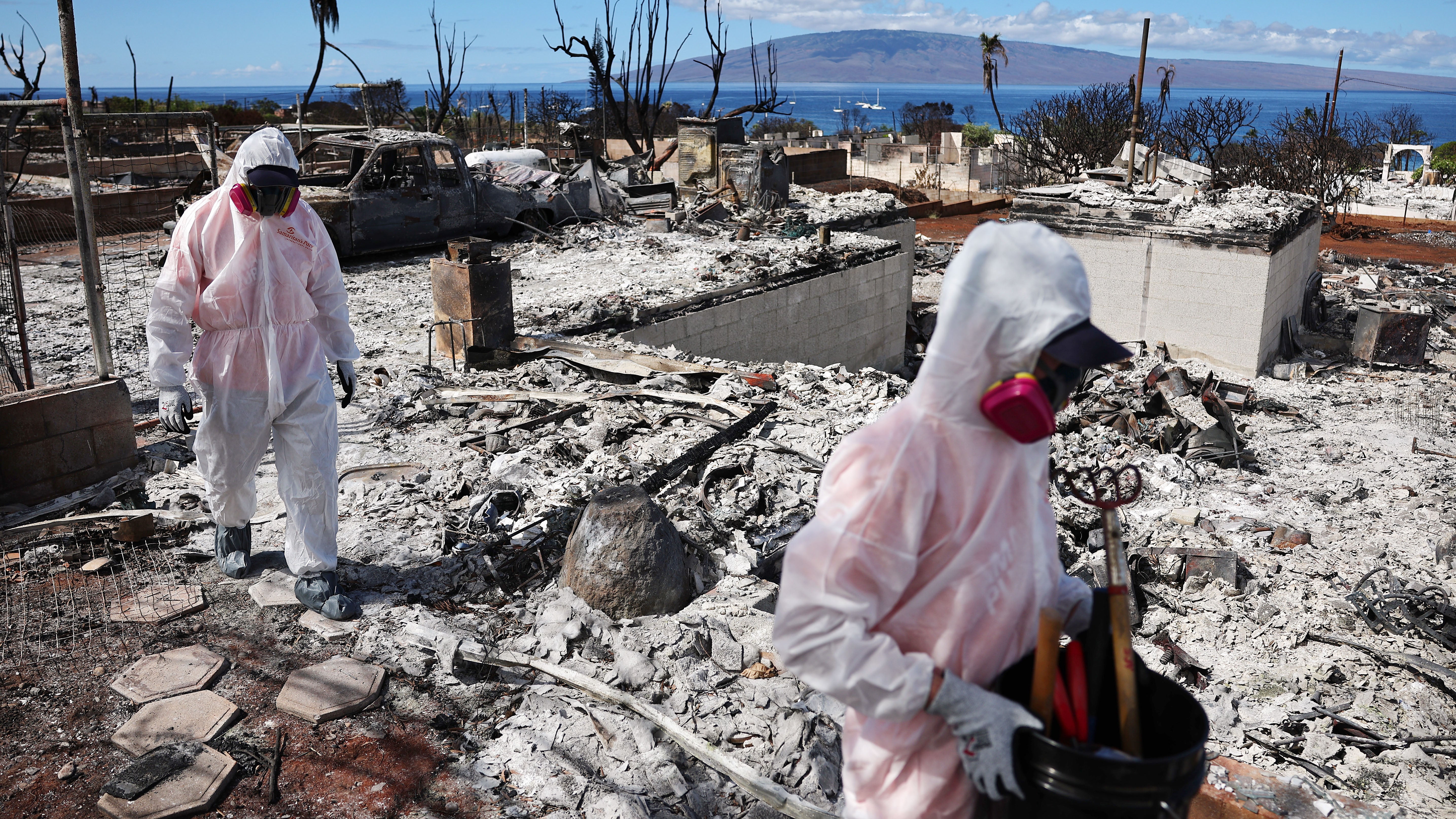 Maui Wildfire Ash Contains High Levels Of Arsenic