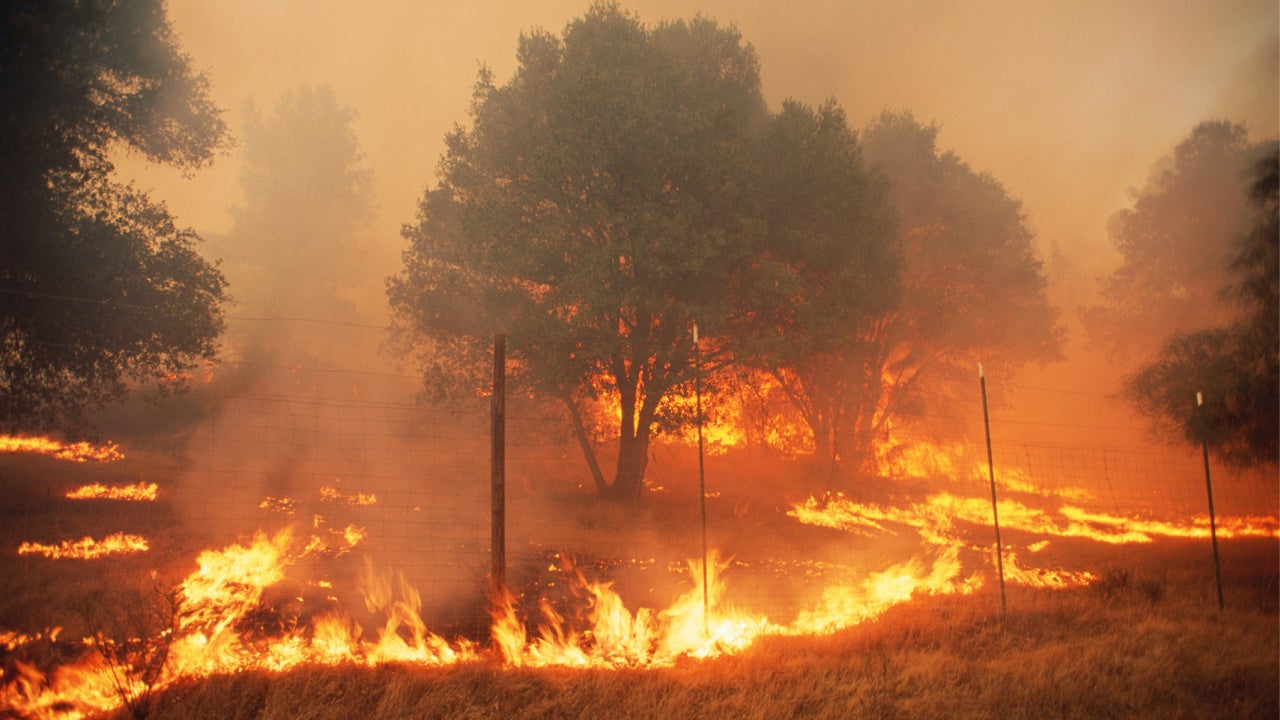 Largest Wildfires in California History Happened in the Last Five Years
