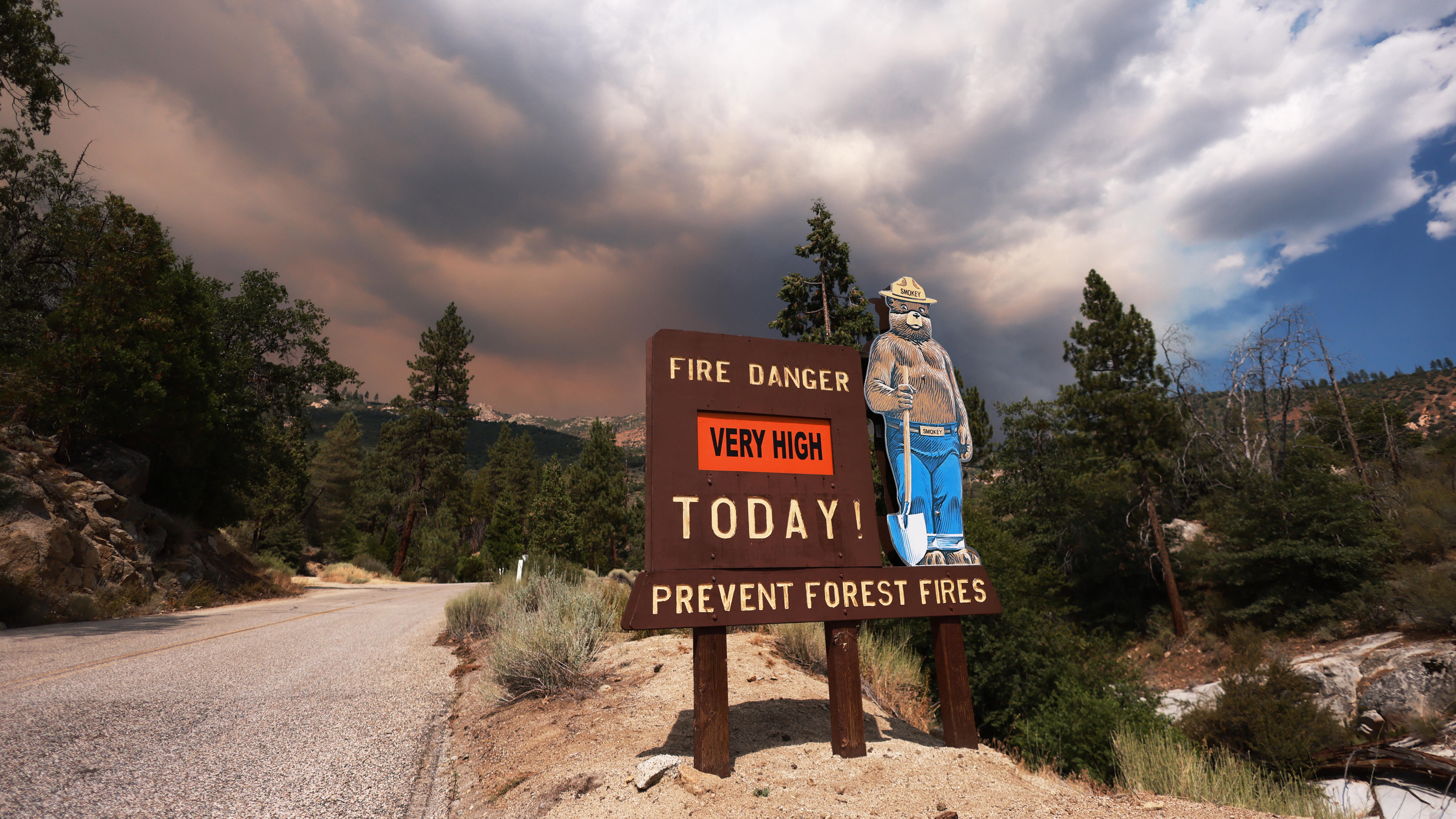 The Science Behind Smokey's Fire Danger Signs