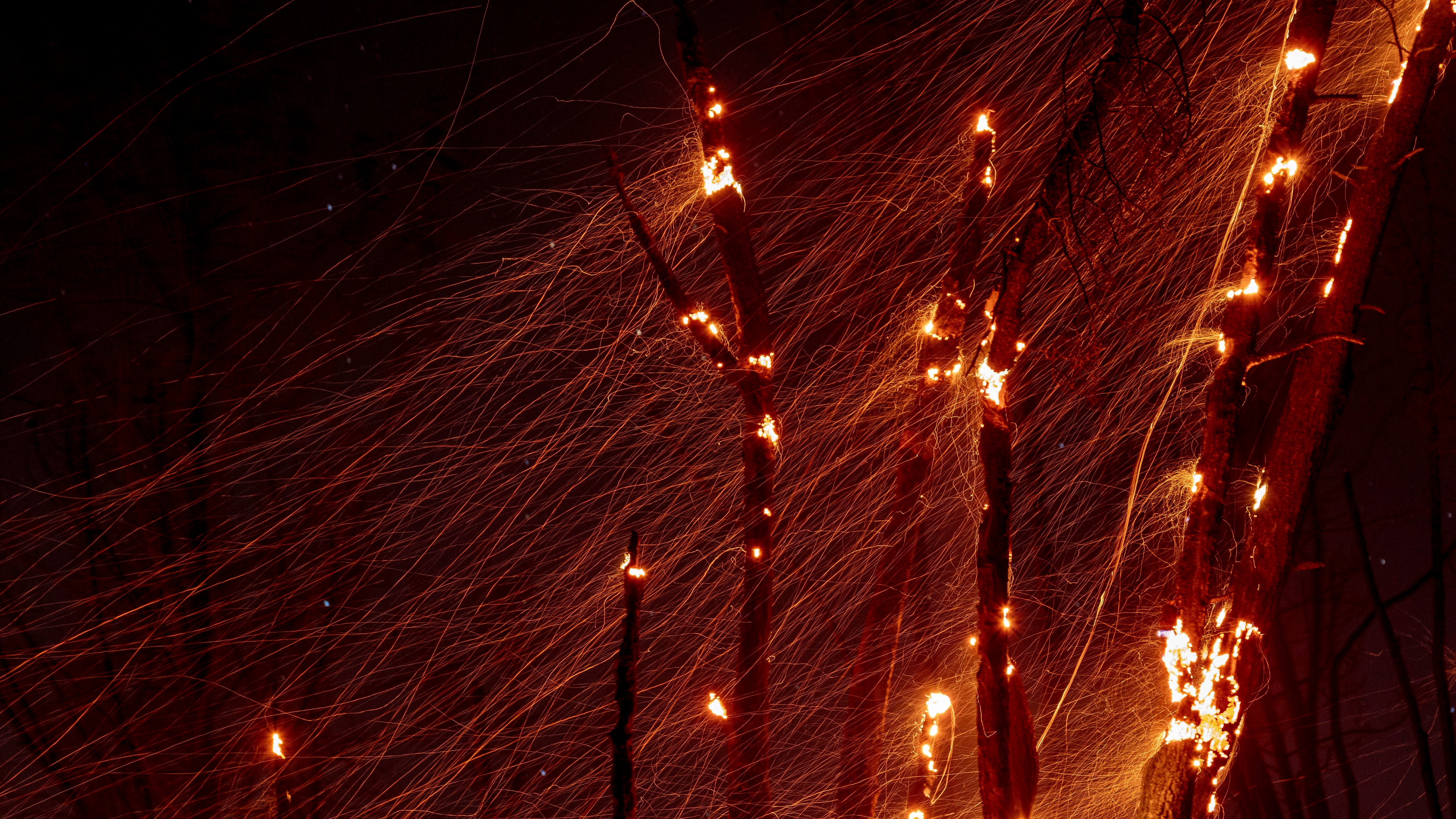 Wildfire Prevention Begins At Home