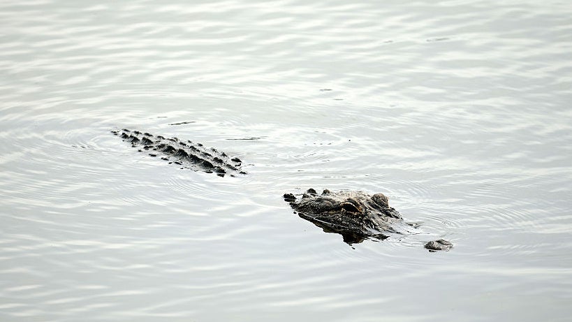 GettyImages-2211658708 (1).jpg