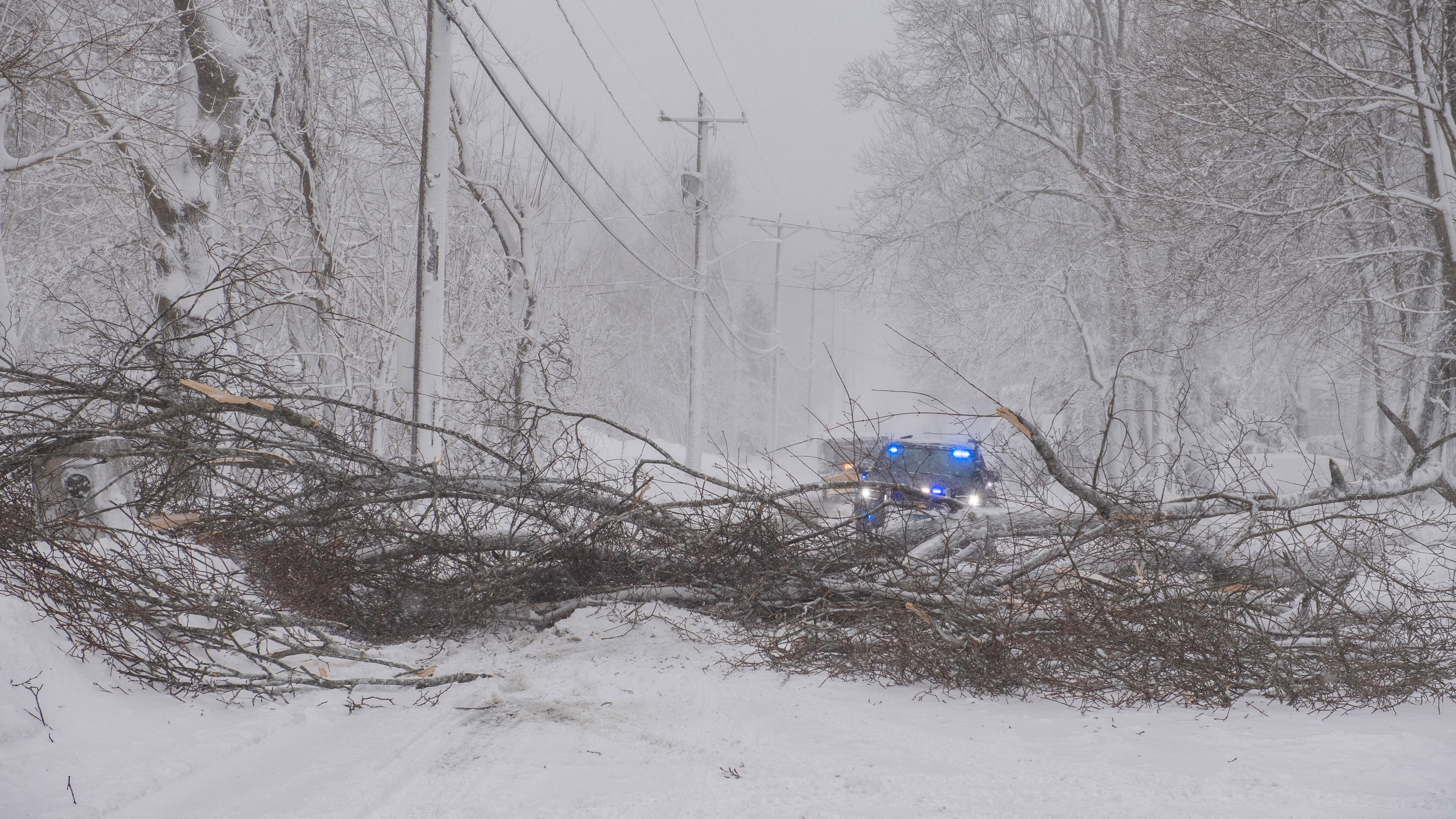 Trees block the road in Scituate, Massachusetts as tens of millions of Americans from Maryland to Maine endured feet of snow and blizzard conditions.