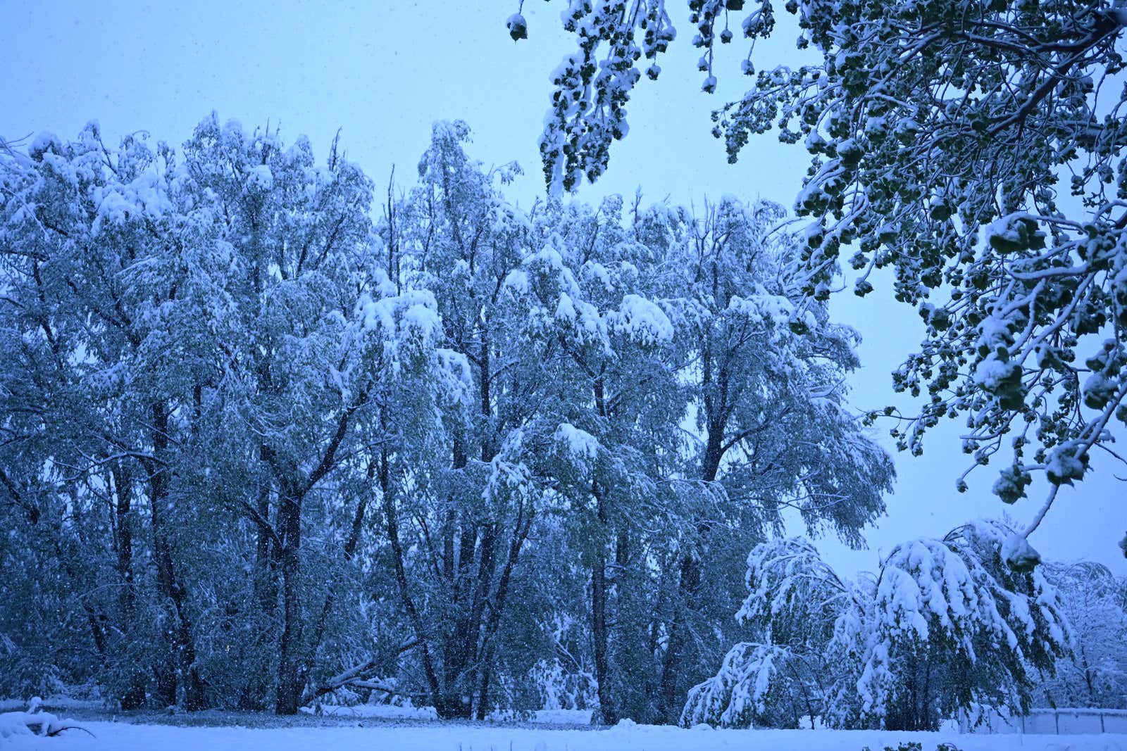 RECAP: Rockies May Snowstorm Dumped 30+ Inches Of Snow In Colorado; Heaviest Of Season In Cheyenne, Wyoming