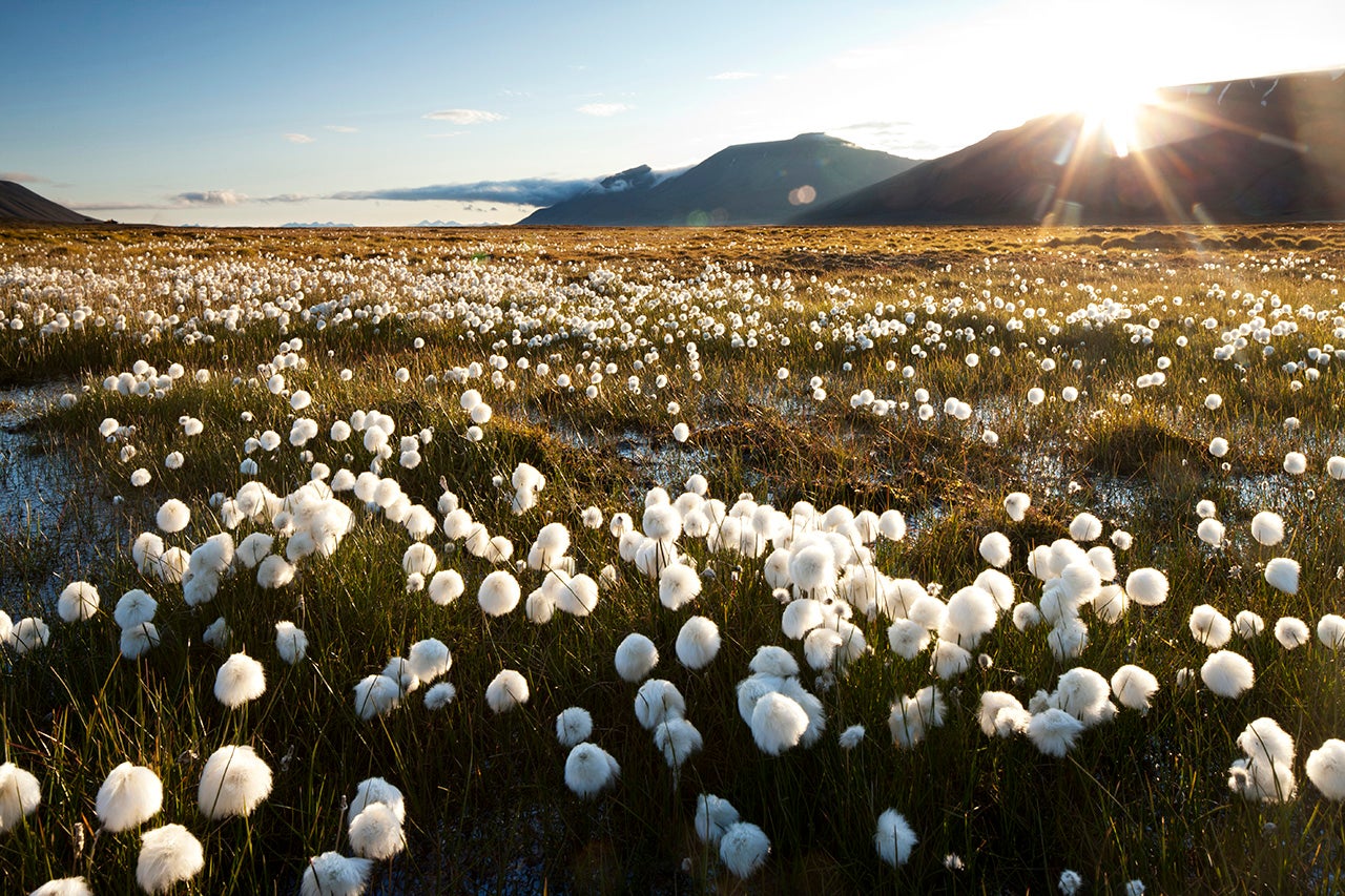 Summer-nomena: 10 Incredible Phenomena You Have To See In Summer