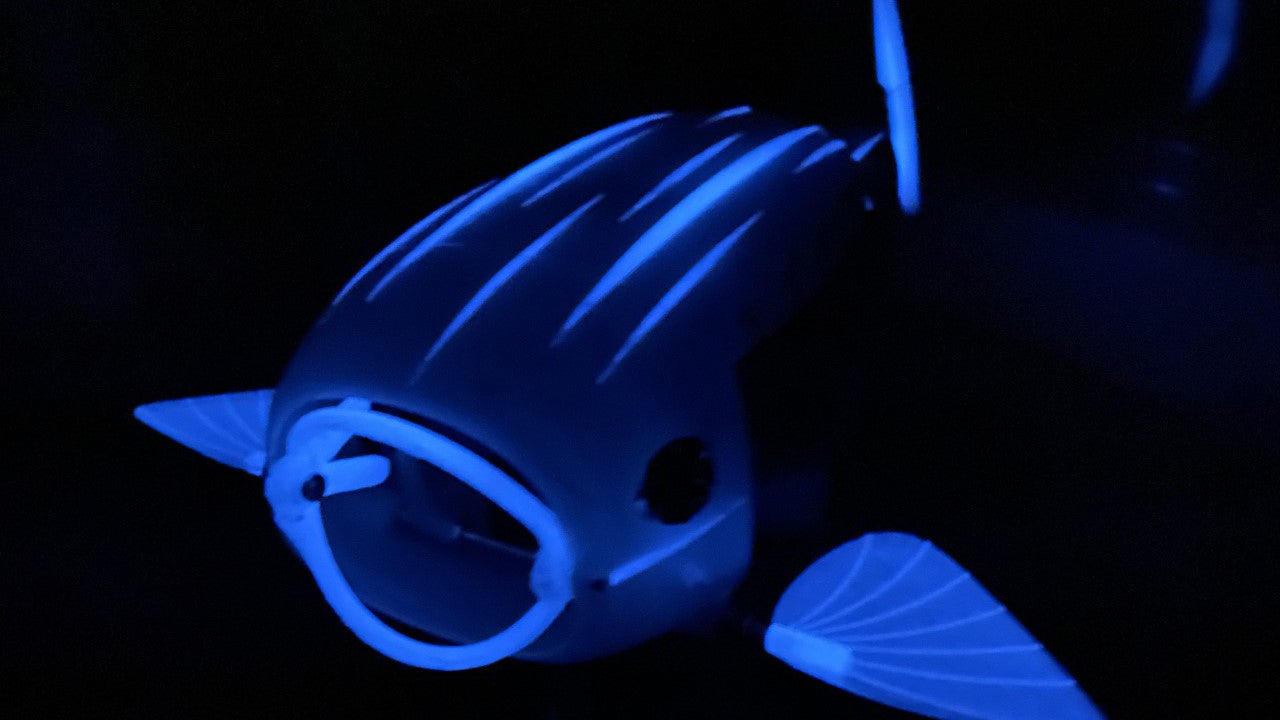 The robo-fish glows in the dark to help researchers track its movements as it cleans the water.