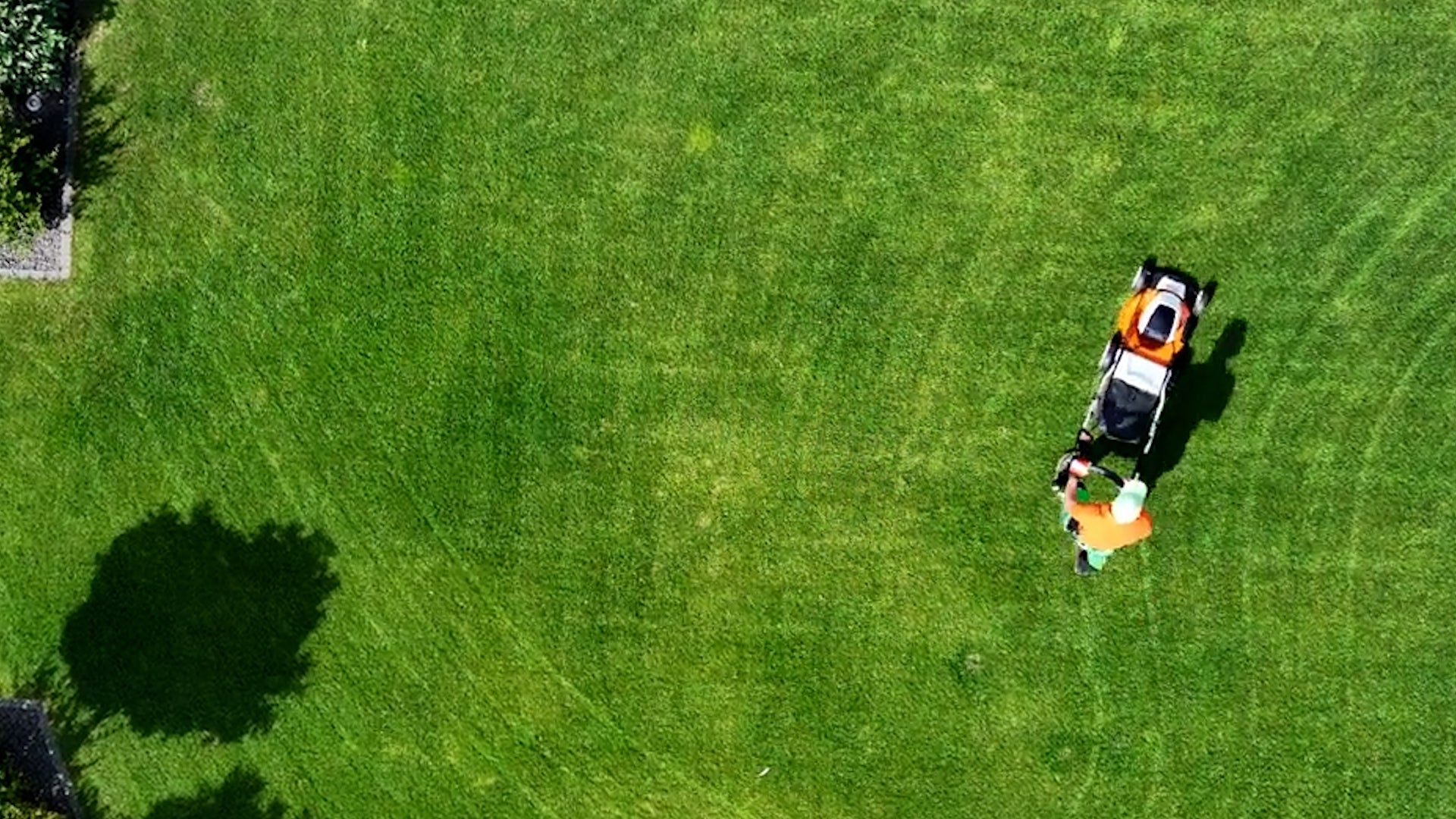 Want A Healthier Lawn? Stop Making This Time-Consuming Mistake