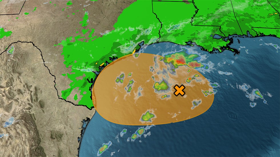 Watch Amazing Moment Deer Sheds Its Antlers Videos from The Weather