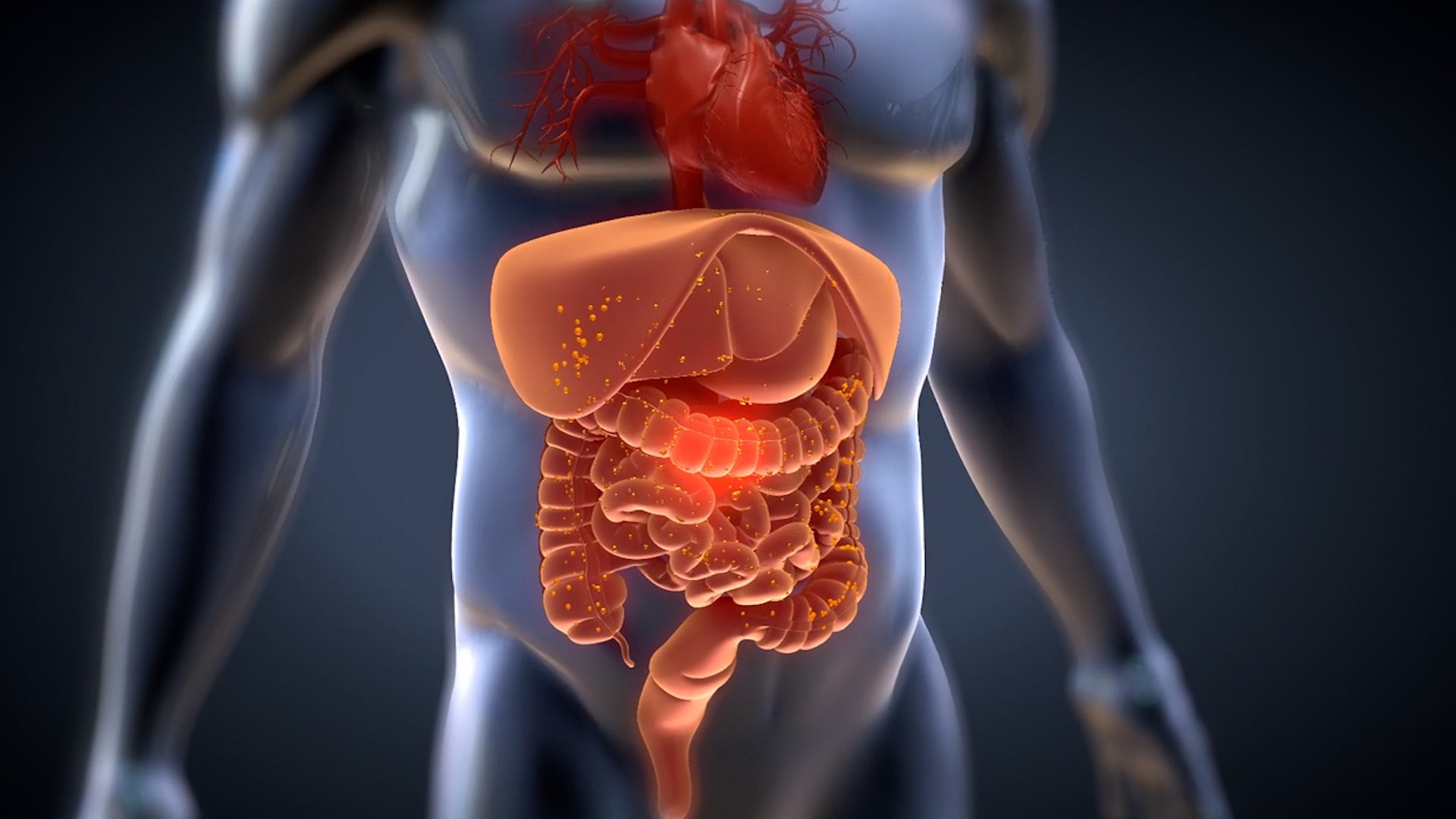 Fuel Your Gut Health And Immune Strength During Sick Season