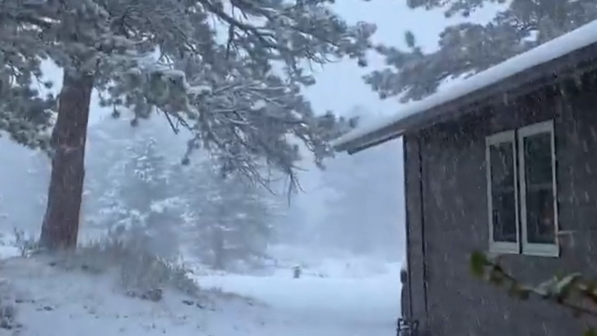 Colorado Buried On Cinco 'Snow' Mayo