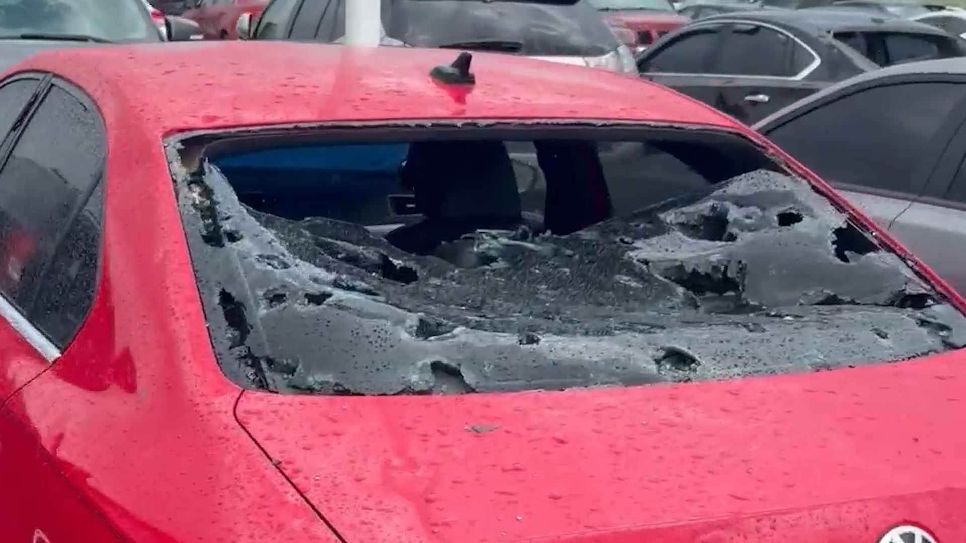 Missouri Hailstorm Wrecks Dozens Of Cars, Kills Emu