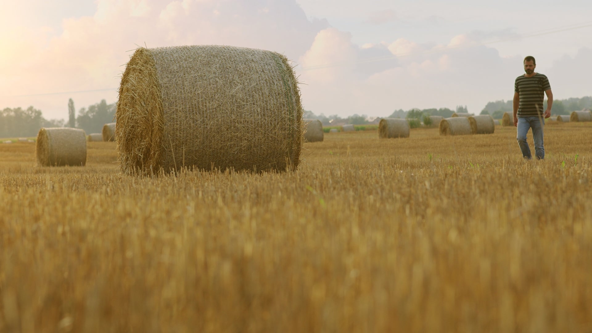 Air Quality Forecast for Boynton - HeyFeverTHUMB1 