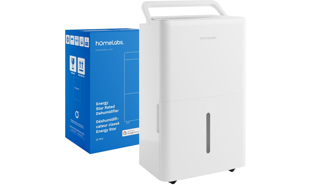 hOmeLabs Dehumidifier