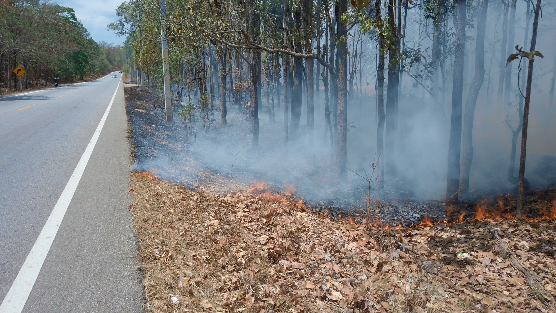 Little Known Wildfire Causes Might Surprise You