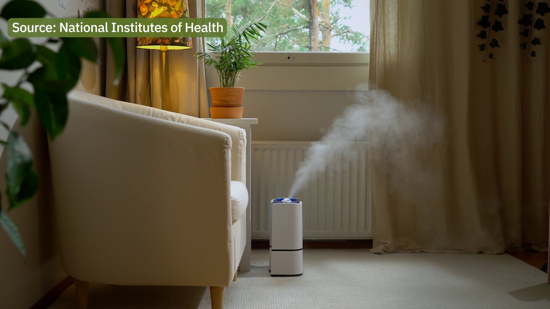 Beware The Sneaky Sickness Lurking In Your Humidifier