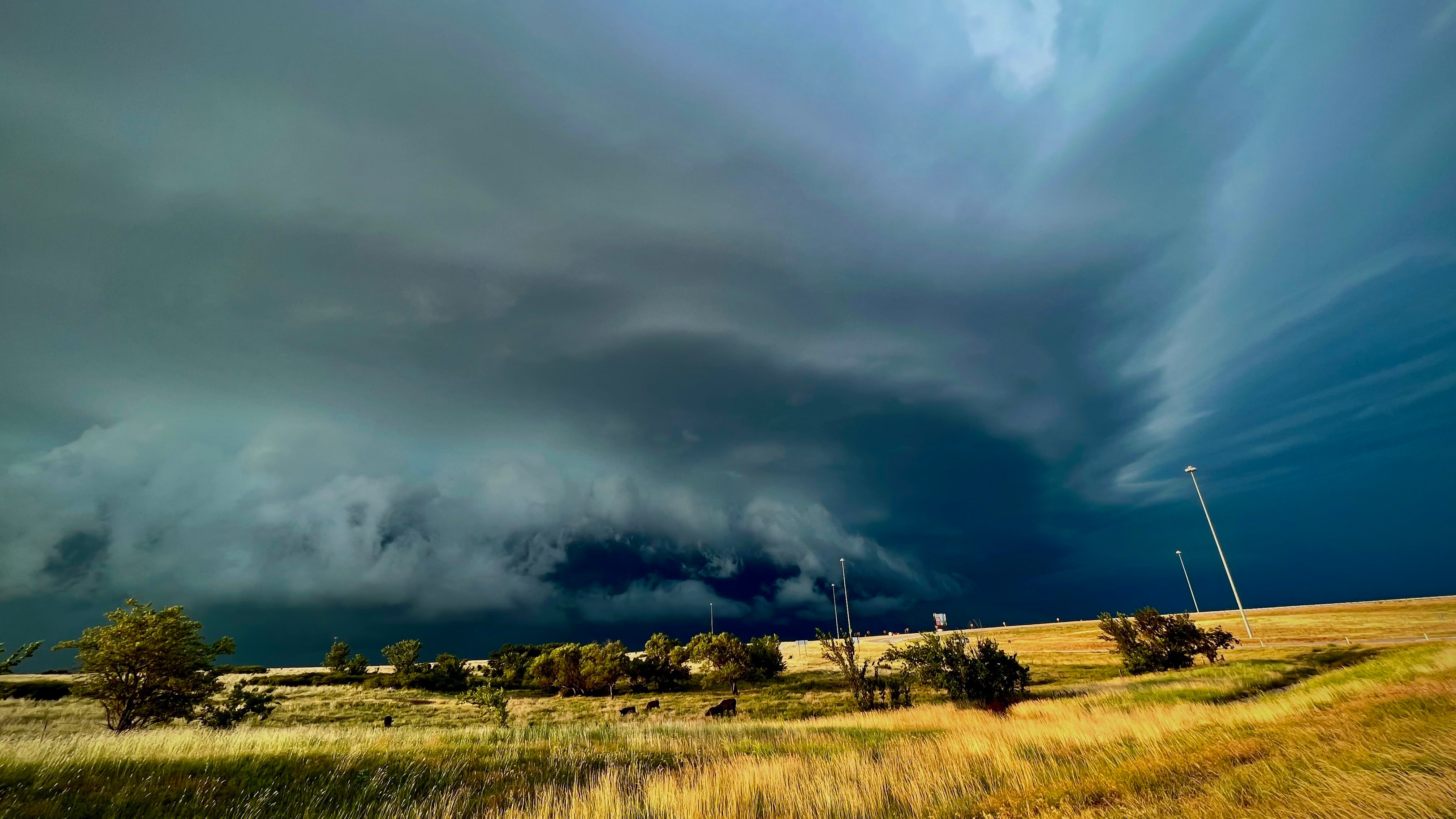 From Blizzards To Heat Waves, The Weirdest Thanksgiving Weather Events In US History