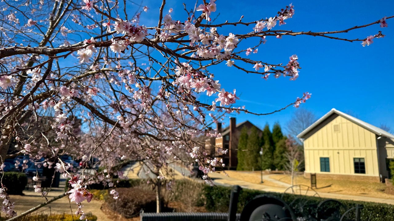 Weather Words: Early Flowering