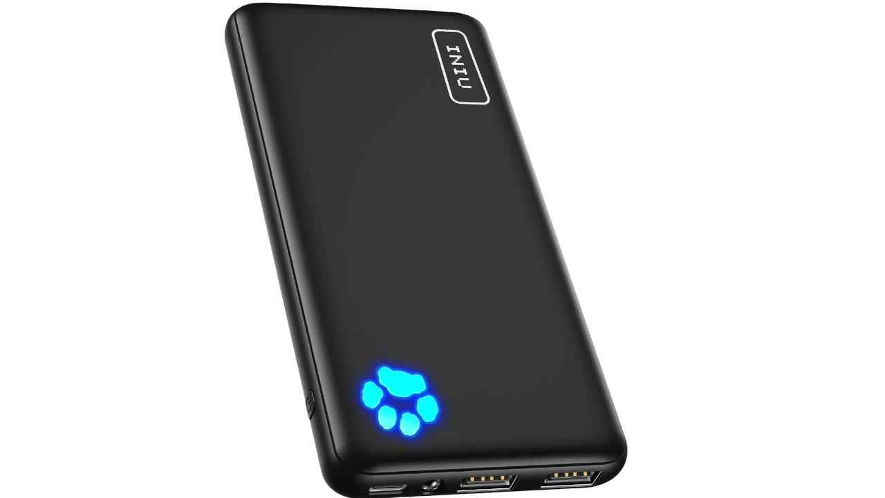 INIU Portable Charger