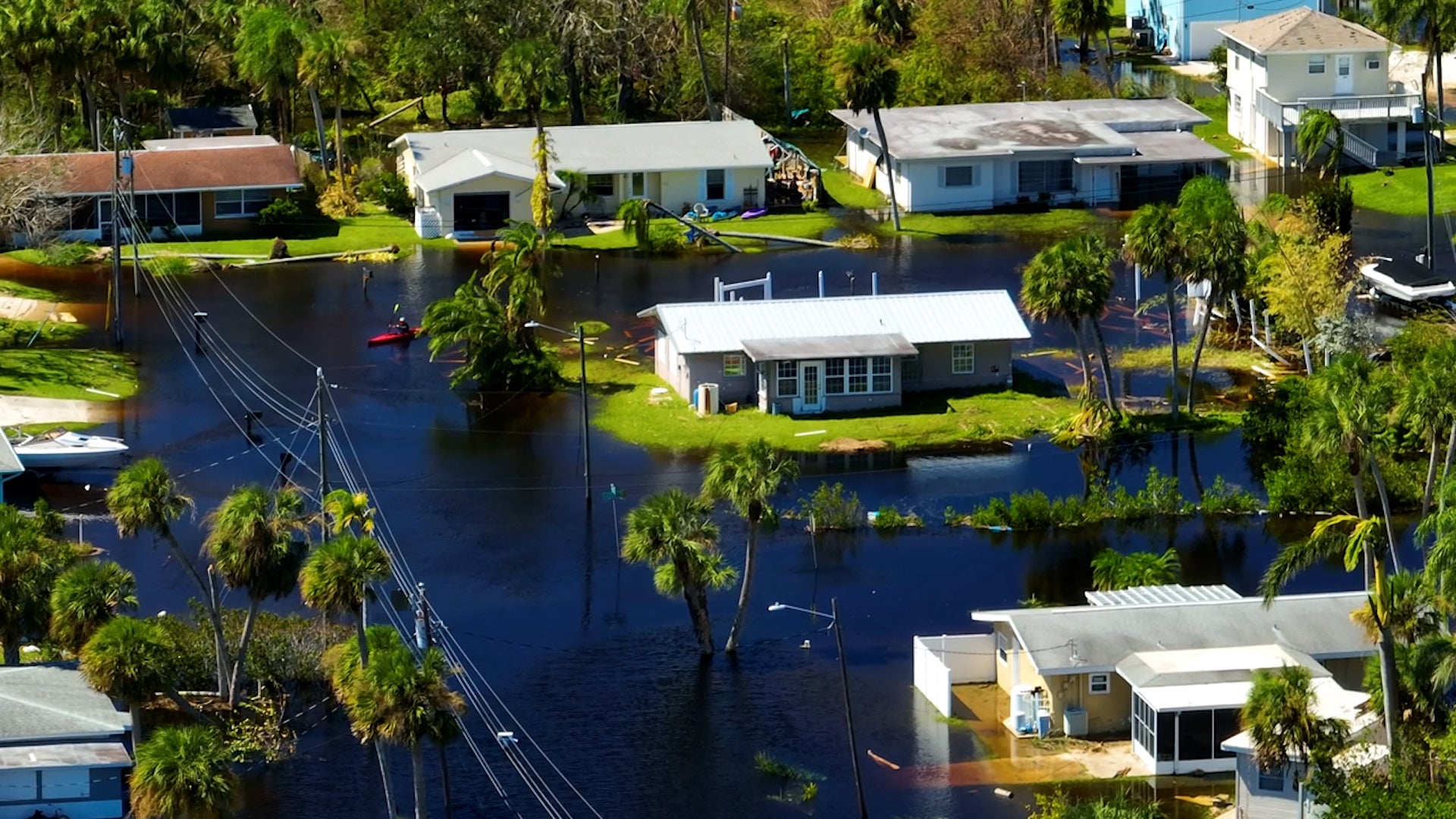 Hurricanes And Insurance: The Critical Basics
